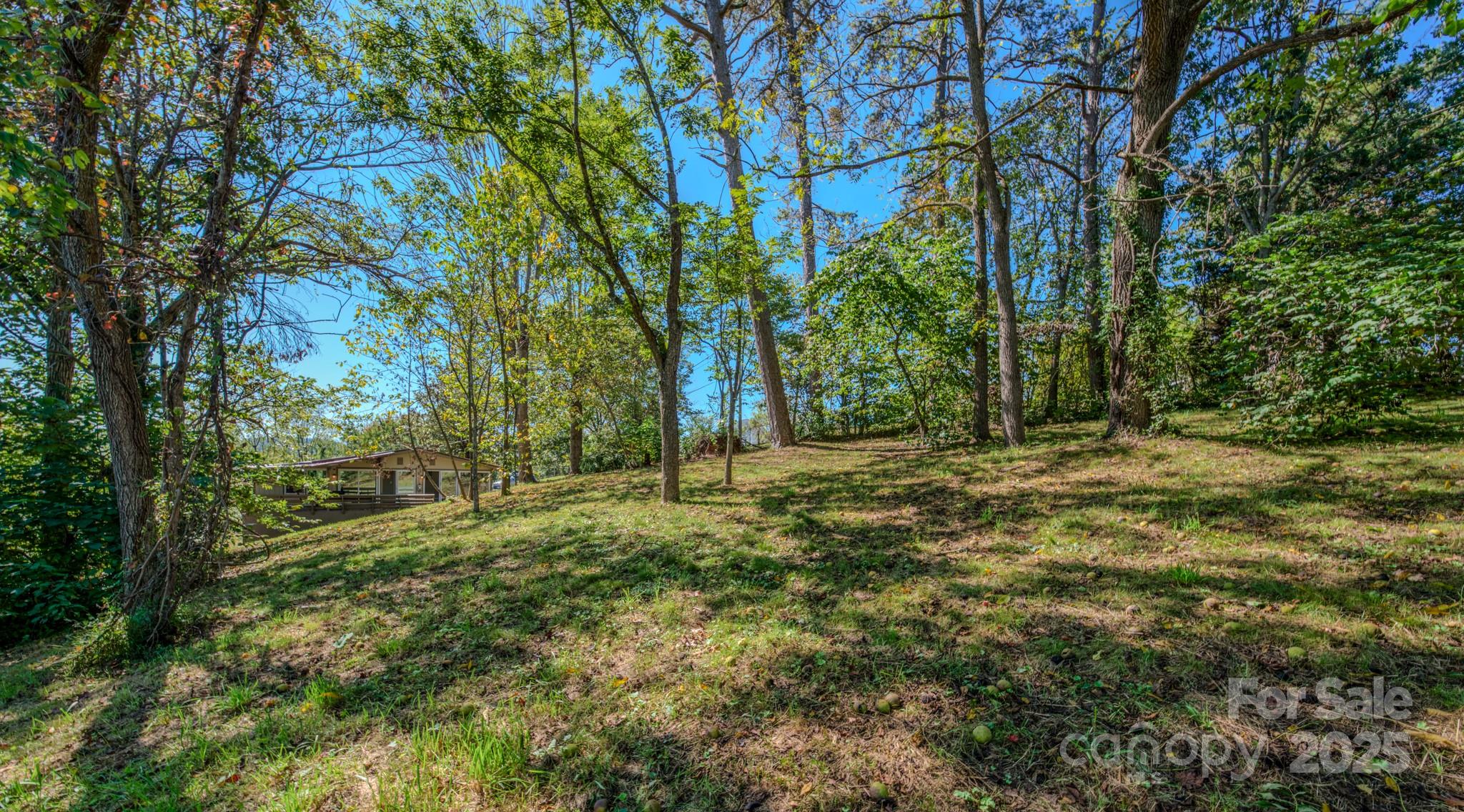 Acreage at 99999 Mulberry Street, Asheville, photo 4 of 6