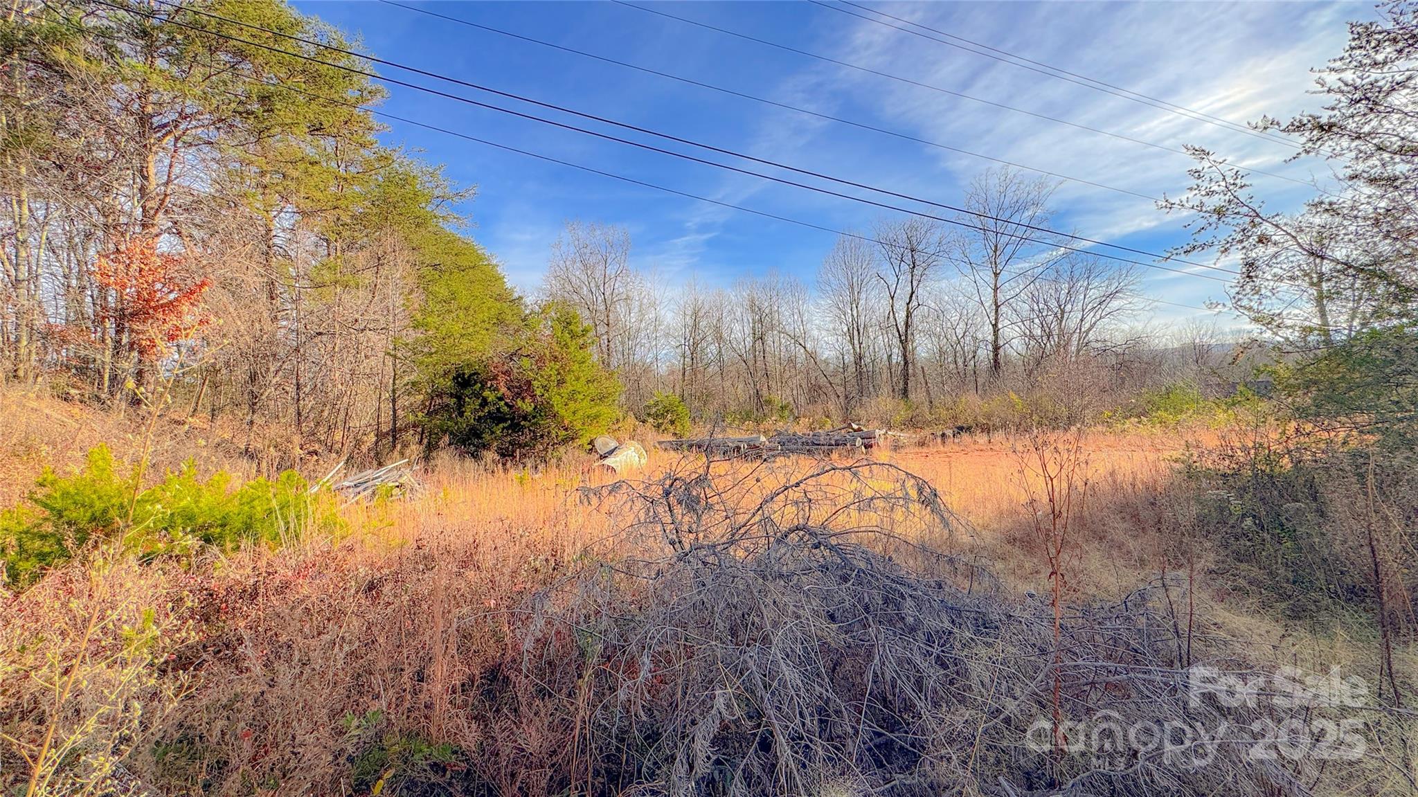 Unimproved Commercial at V/L Ashworth Road, Marion, photo 7 of 14