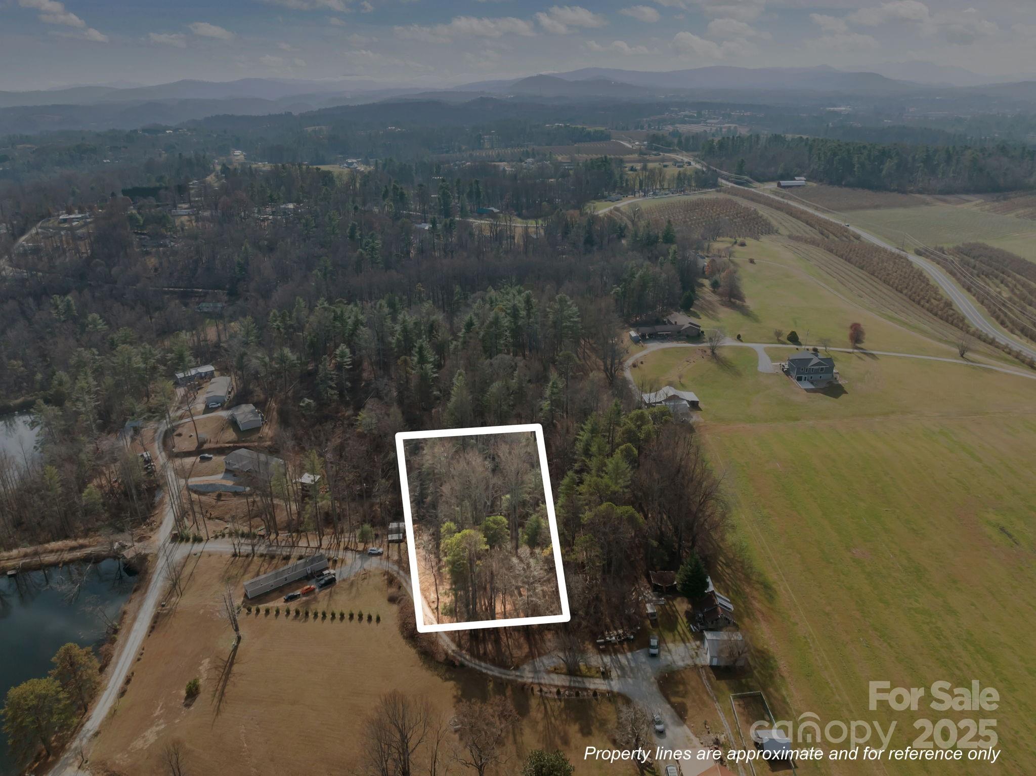 Lot at 99999 Twin Lakes Drive, Flat Rock, photo 2 of 18