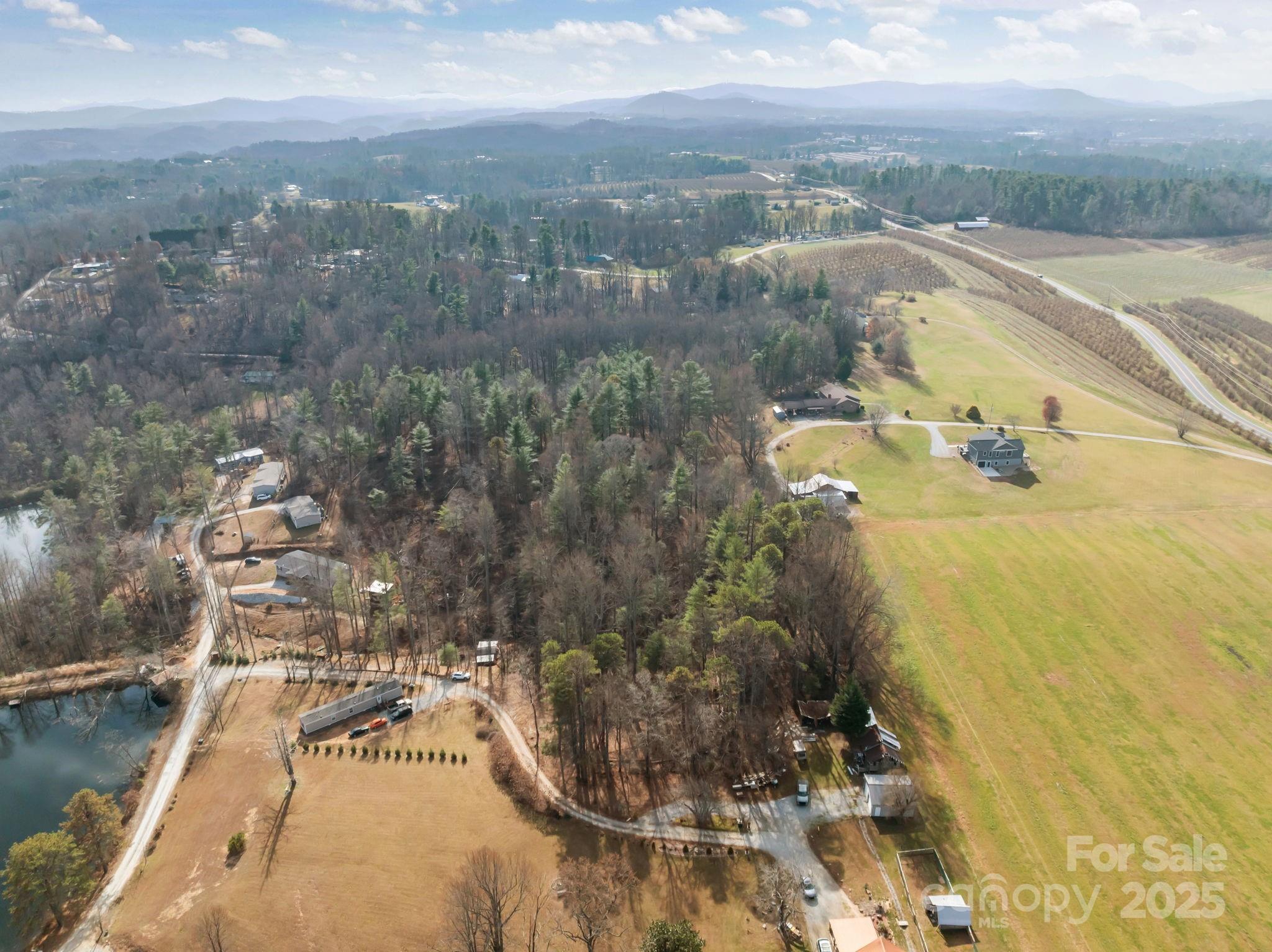 Lot at 99999 Twin Lakes Drive, Flat Rock, photo 4 of 18