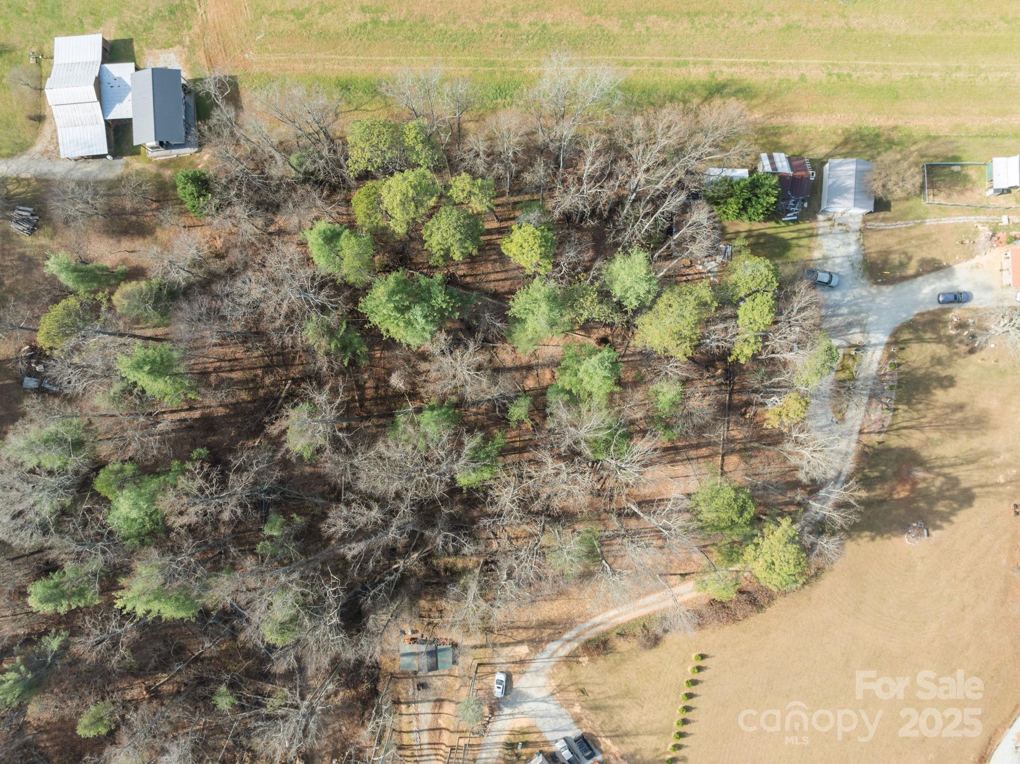 Lot at 99999 Twin Lakes Drive, Flat Rock, photo 5 of 18