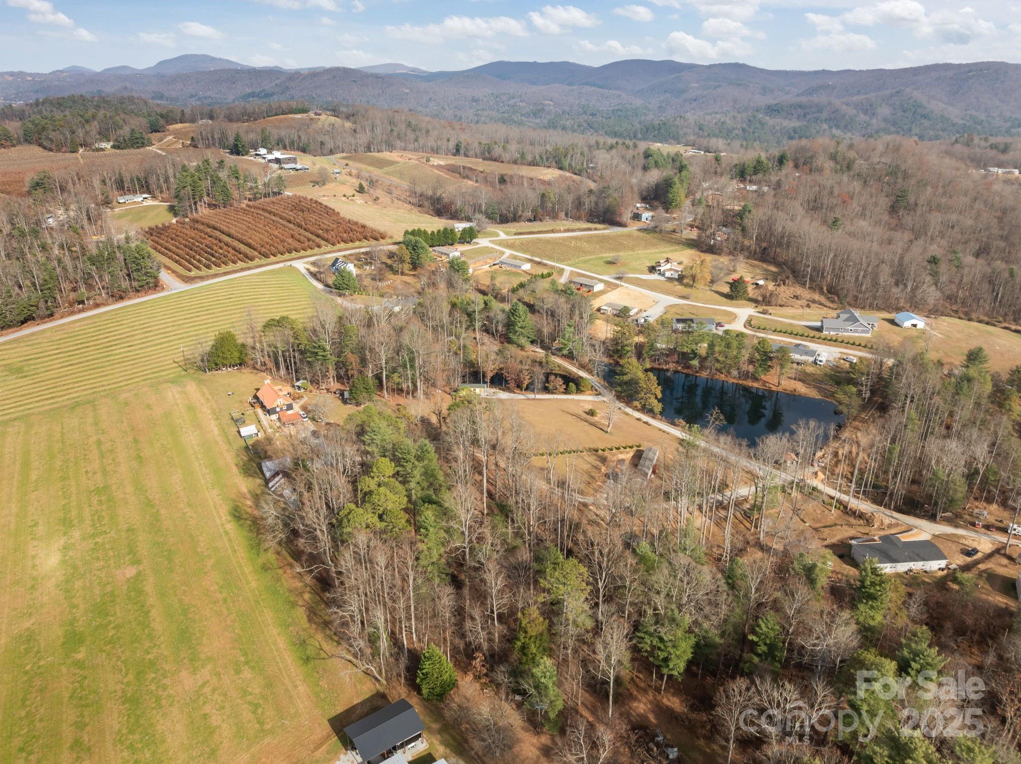 Lot at 99999 Twin Lakes Drive, Flat Rock, photo 8 of 18