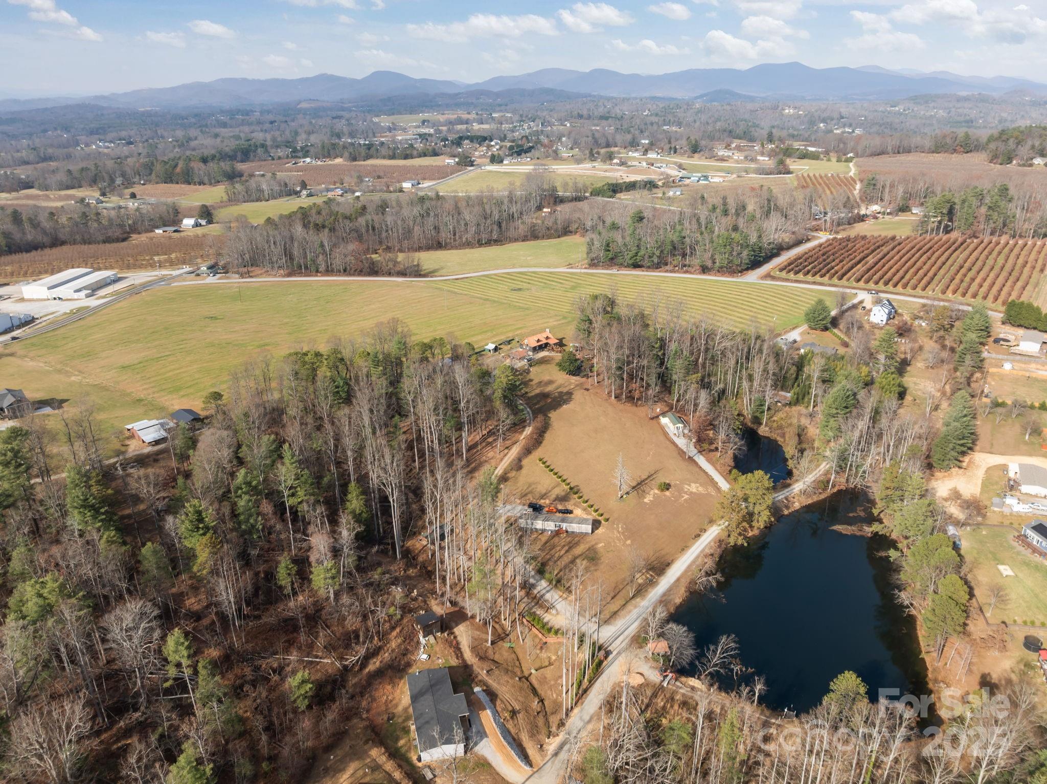 Lot at 99999 Twin Lakes Drive, Flat Rock, photo 10 of 18