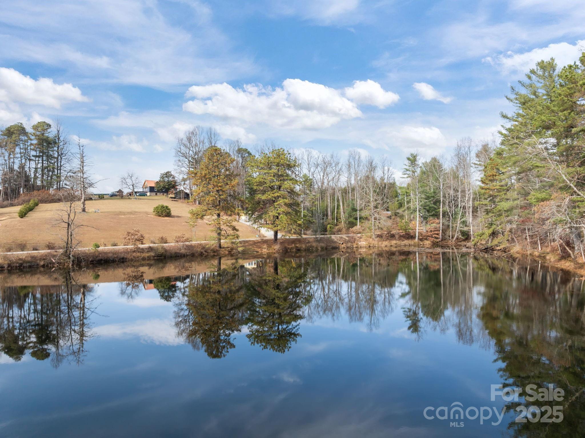 Lot at 99999 Twin Lakes Drive, Flat Rock, photo 16 of 18