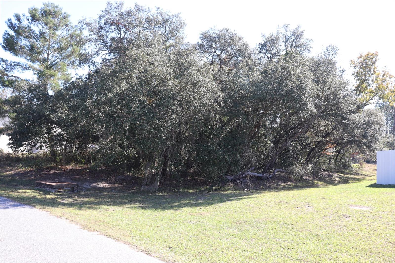 Land at TBD SW 157TH STREET, OCALA, photo 3 of 11
