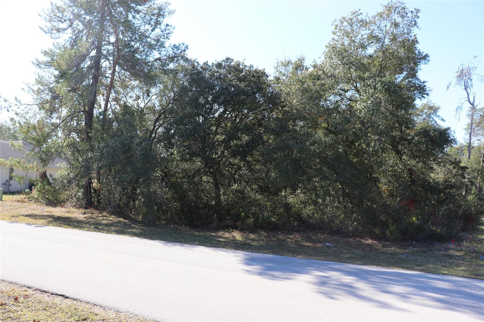 Land at TBD SW 157TH STREET, OCALA, photo 4 of 11
