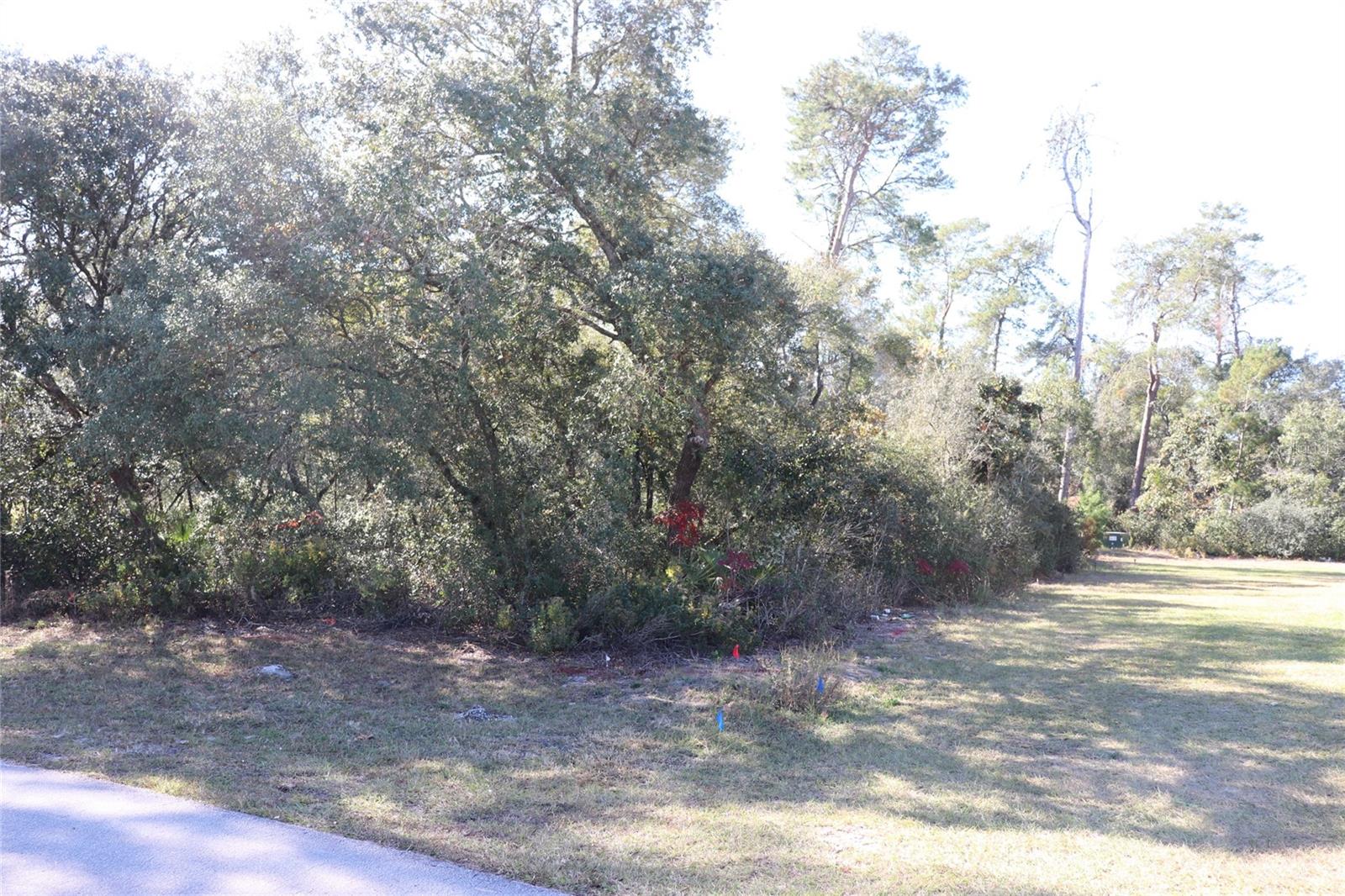 Land at TBD SW 157TH STREET, OCALA, photo 5 of 11