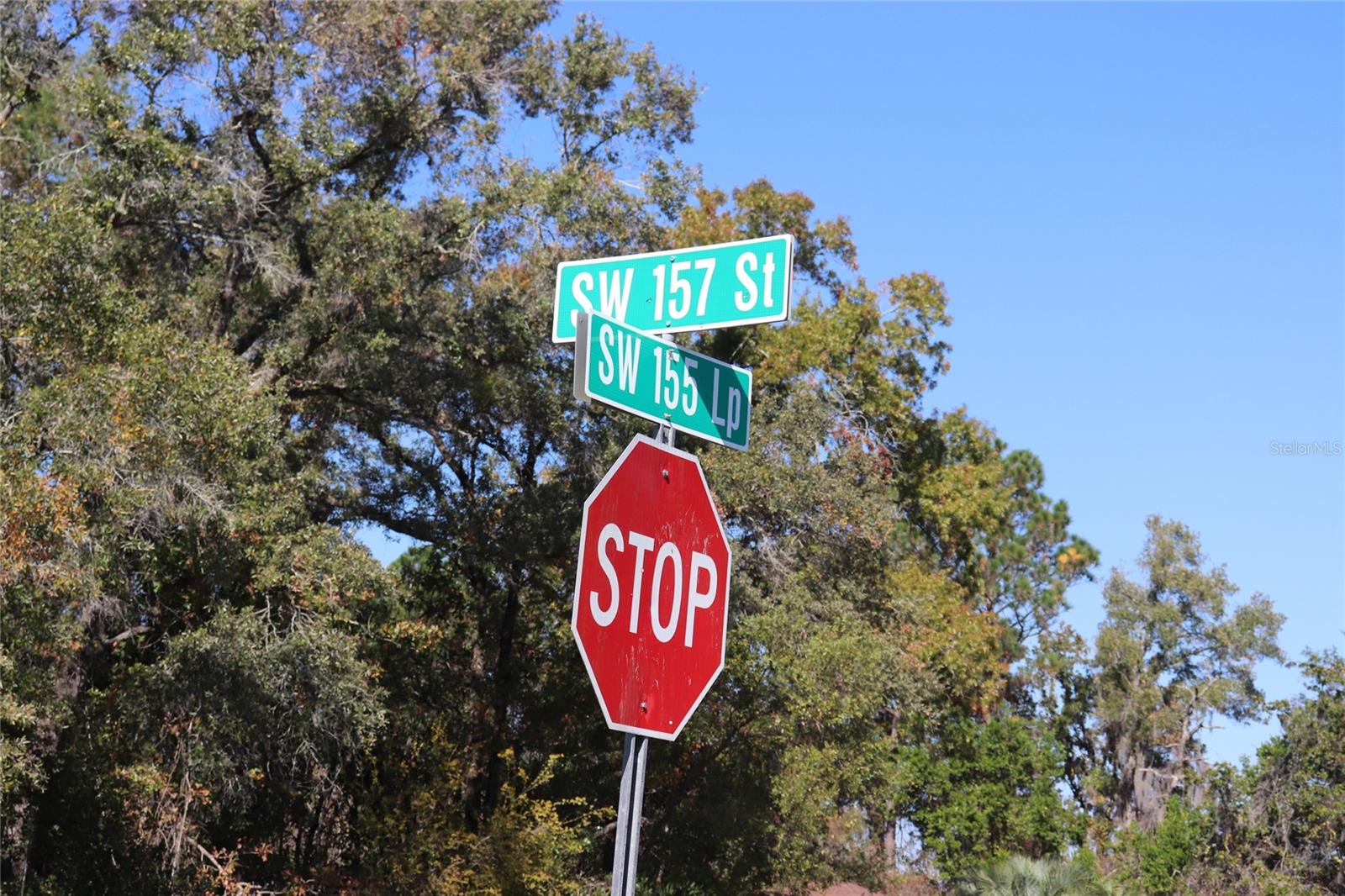 Land at TBD SW 157TH STREET, OCALA, photo 7 of 11