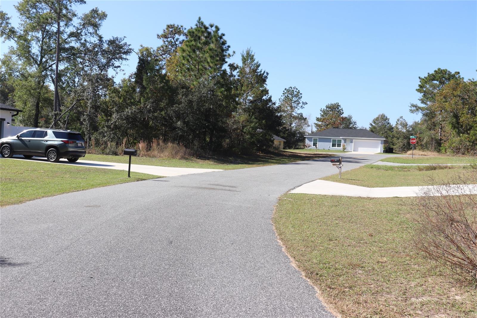 Land at TBD SW 157TH STREET, OCALA, photo 11 of 11