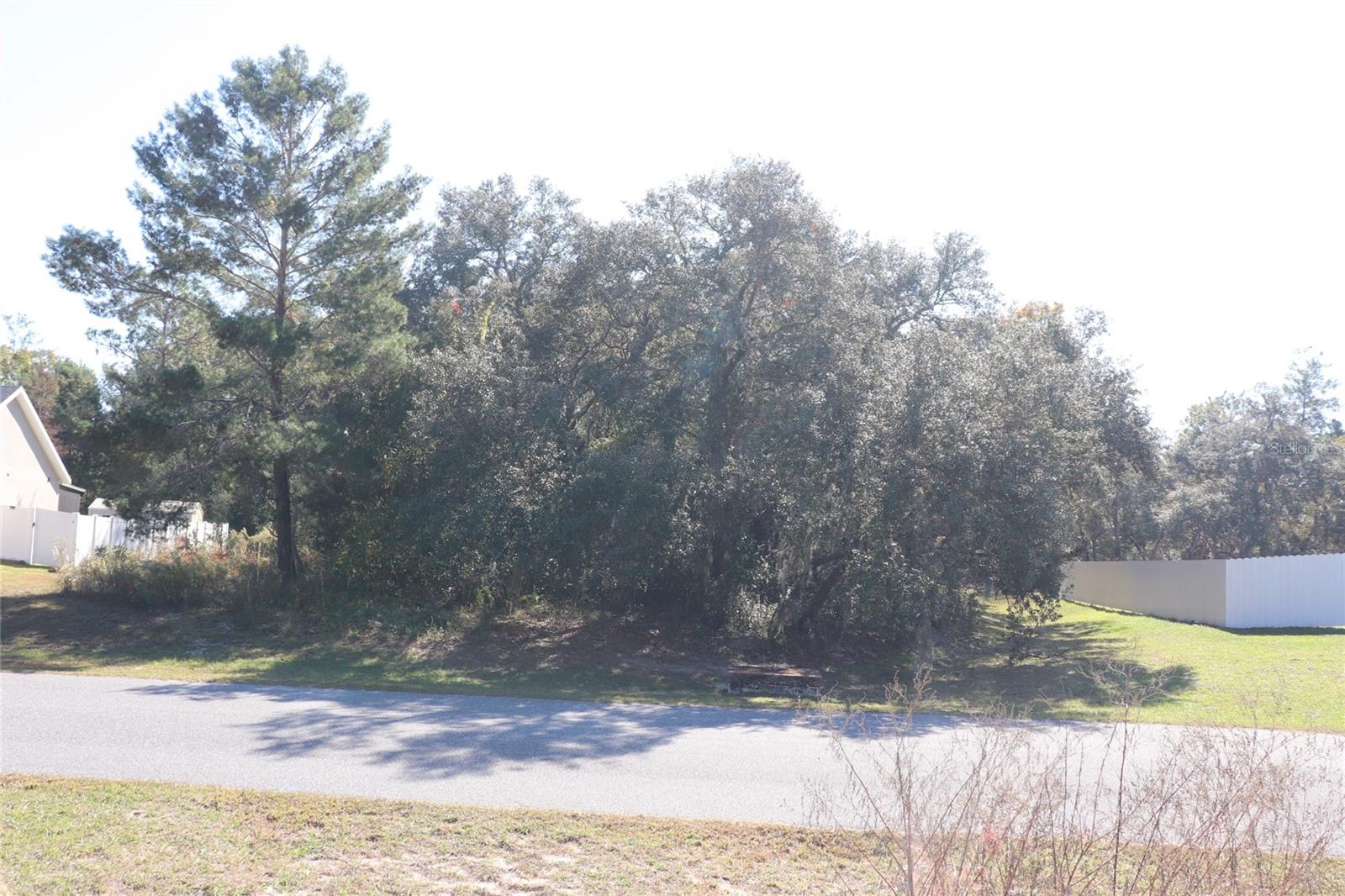 Land at TBD SW 157TH STREET, OCALA, photo 8 of 11