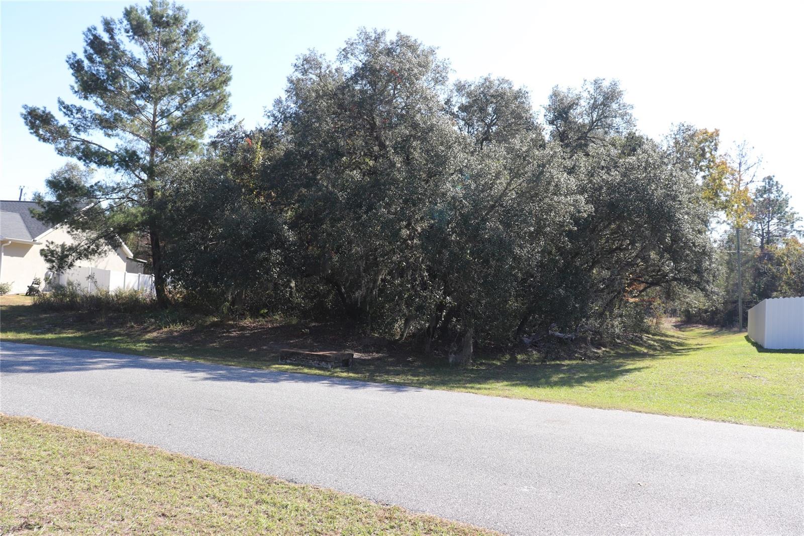 Land at TBD SW 157TH STREET, OCALA, photo 9 of 11