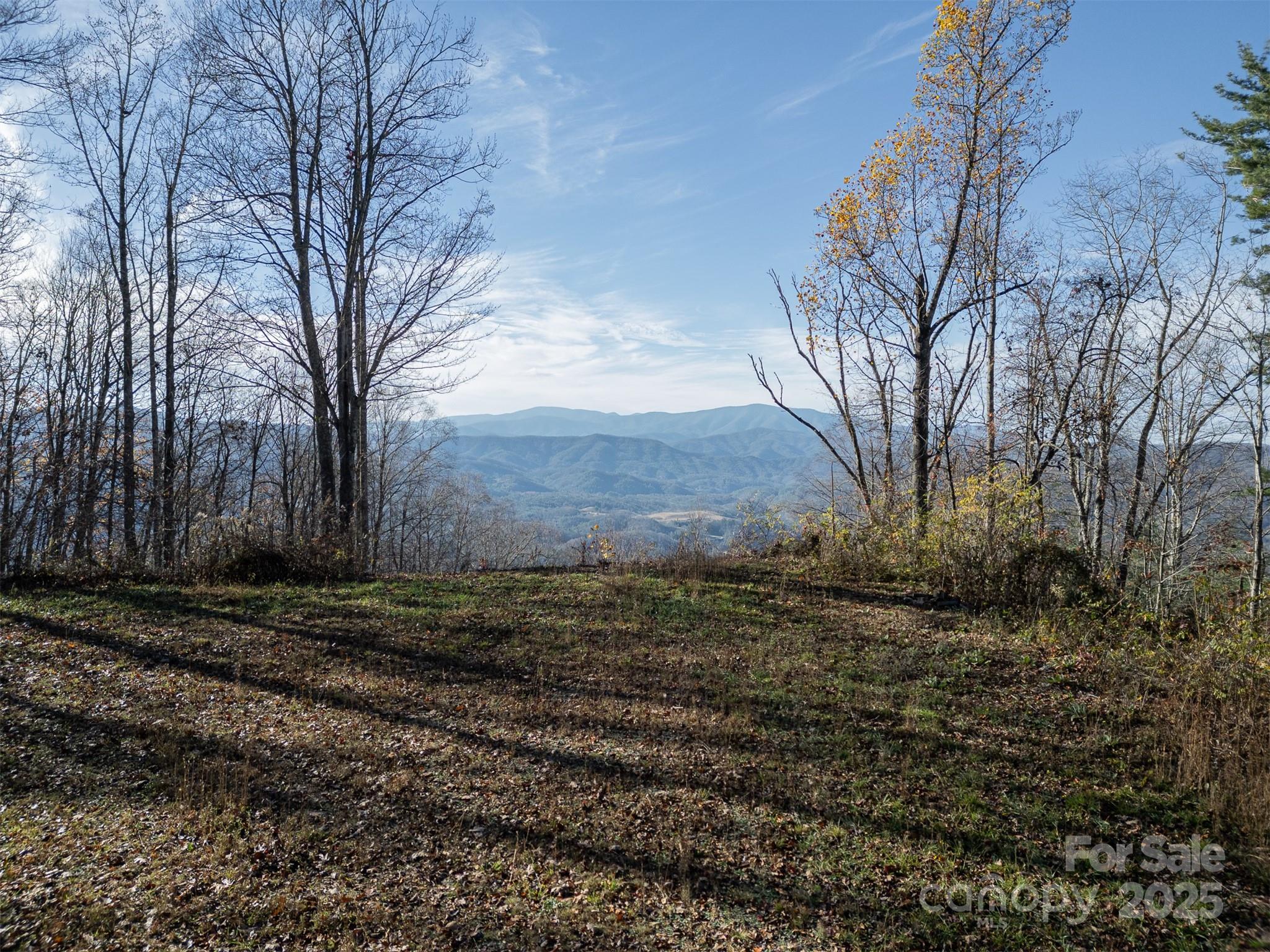 View from roughed in driveway - 1098 Hyacinth Drive, Clyde