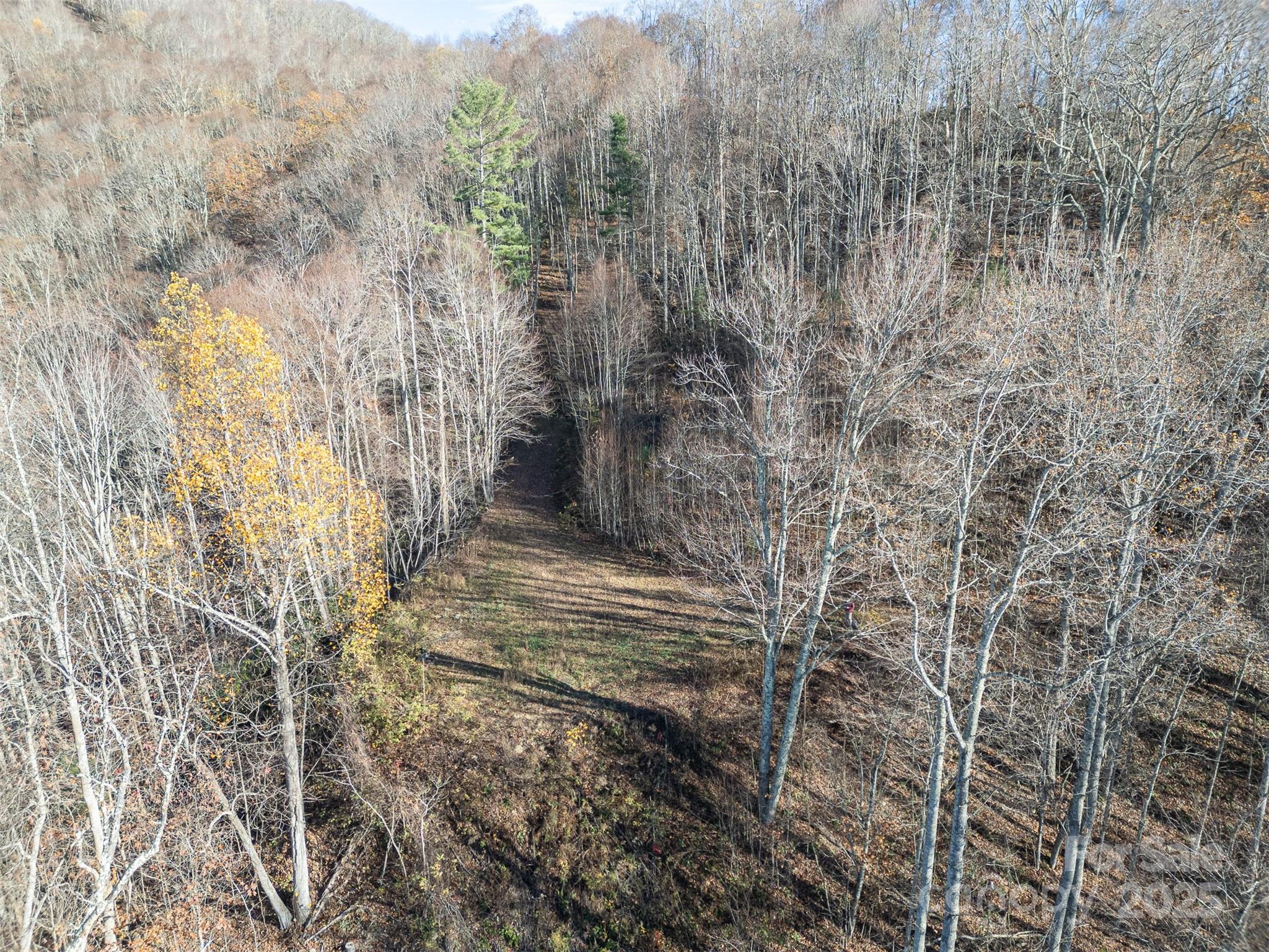Good view of cleared site on lot with roughed out driveway access - 1098 Hyacinth Drive, Clyde