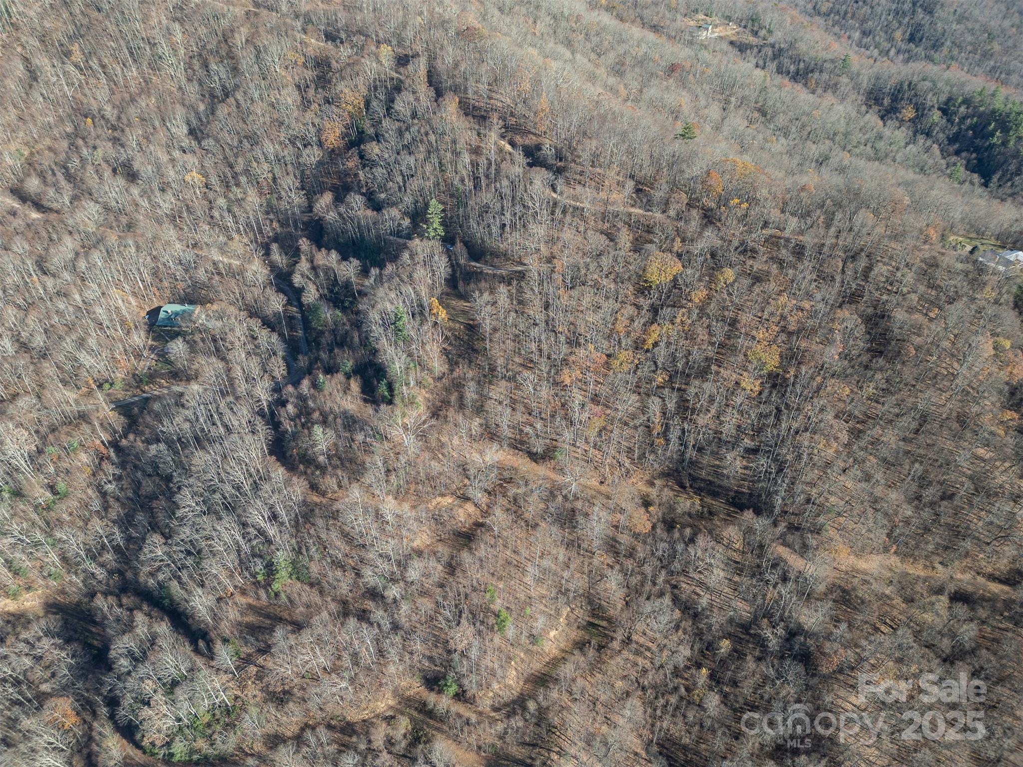 Additional aerial view - 1098 Hyacinth Drive, Clyde