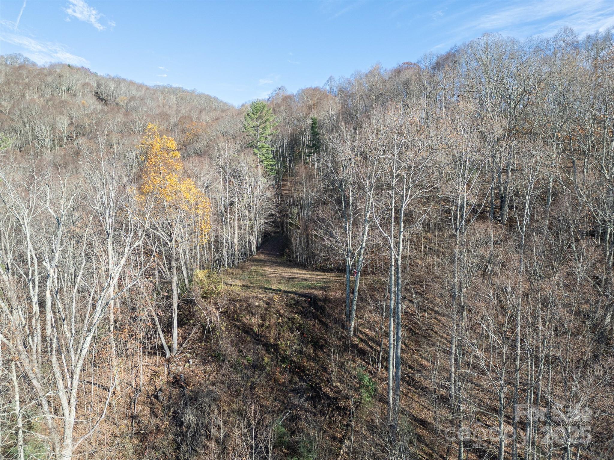 View looking back towards cleared section of lot - 1098 Hyacinth Drive, Clyde