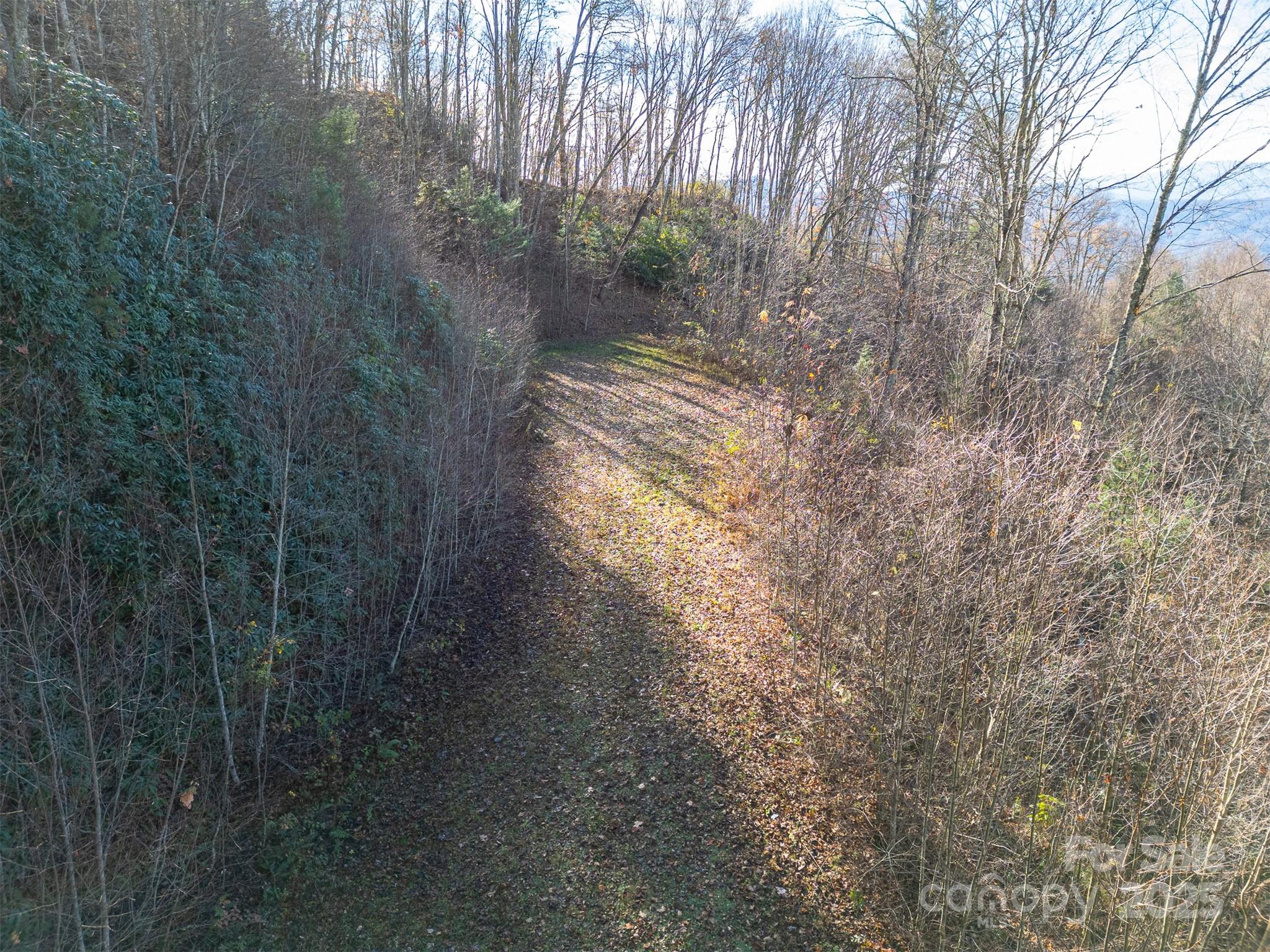 Cleared driveway access to lot - 0000 Hyacinth Drive, Clyde