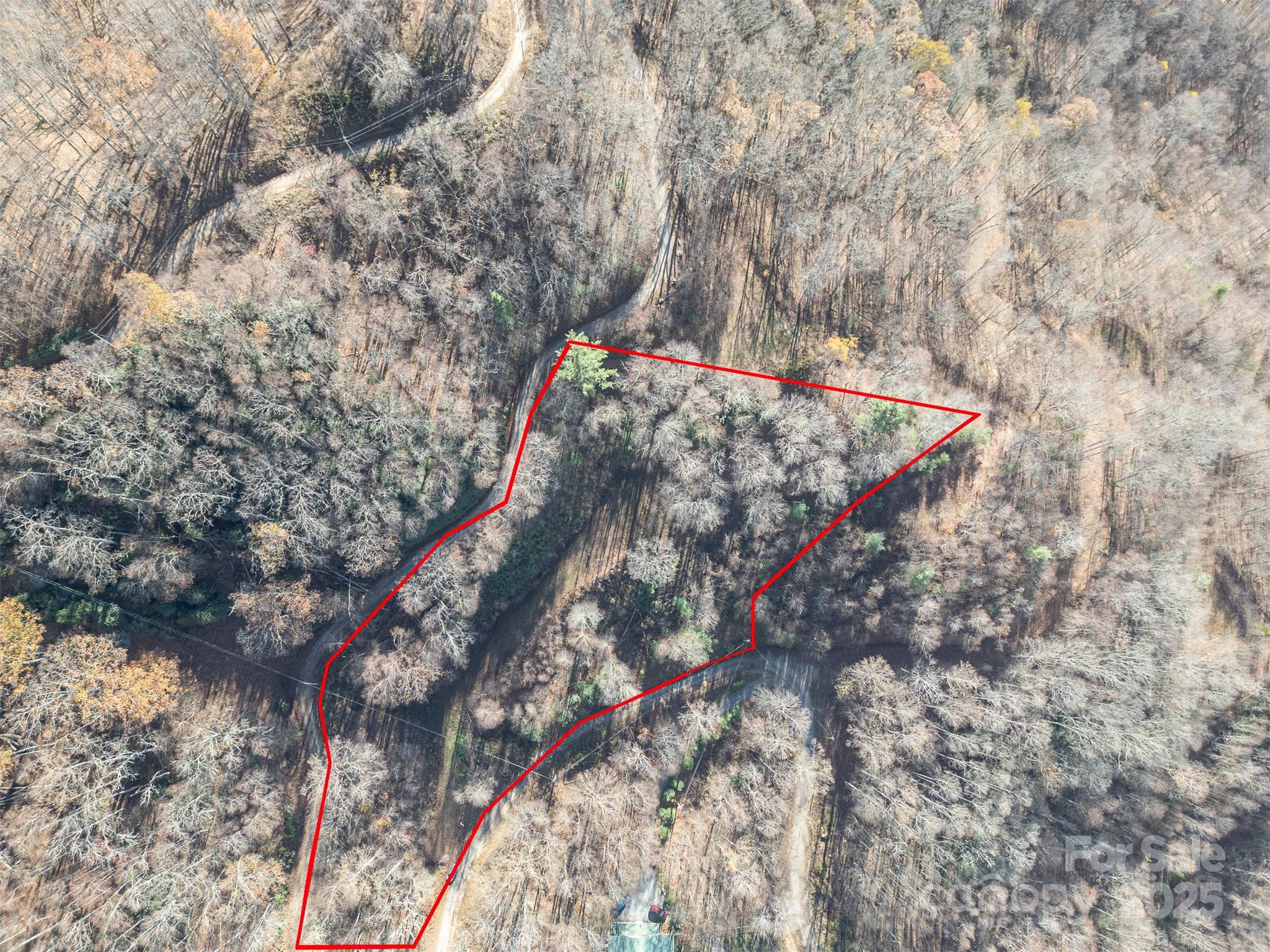 Approximate lot lines showing cleared area of lot - 0000 Hyacinth Drive, Clyde