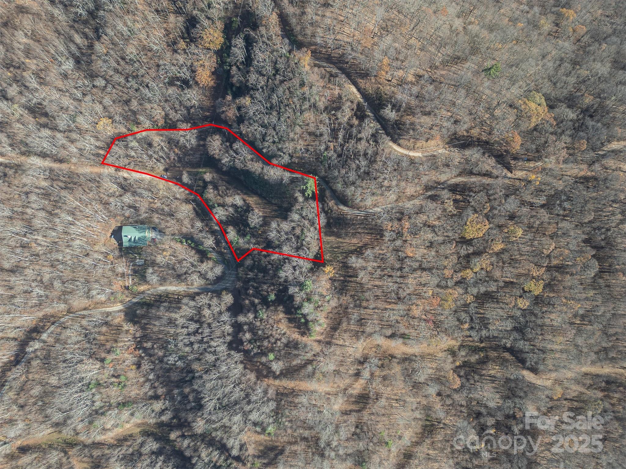 Approximate lot lines - 0000 Hyacinth Drive, Clyde