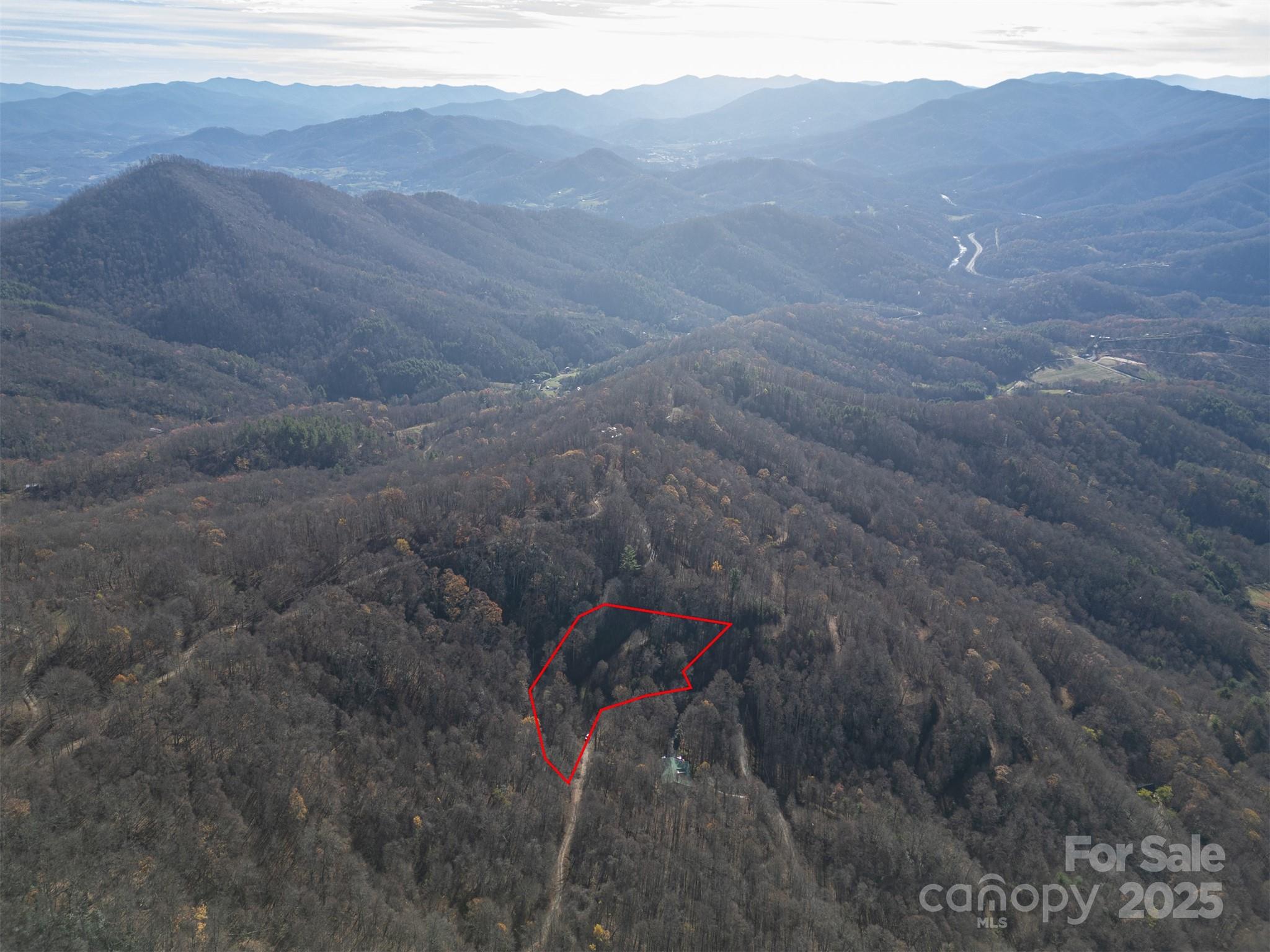 Approximate lot lines - 0000 Hyacinth Drive, Clyde