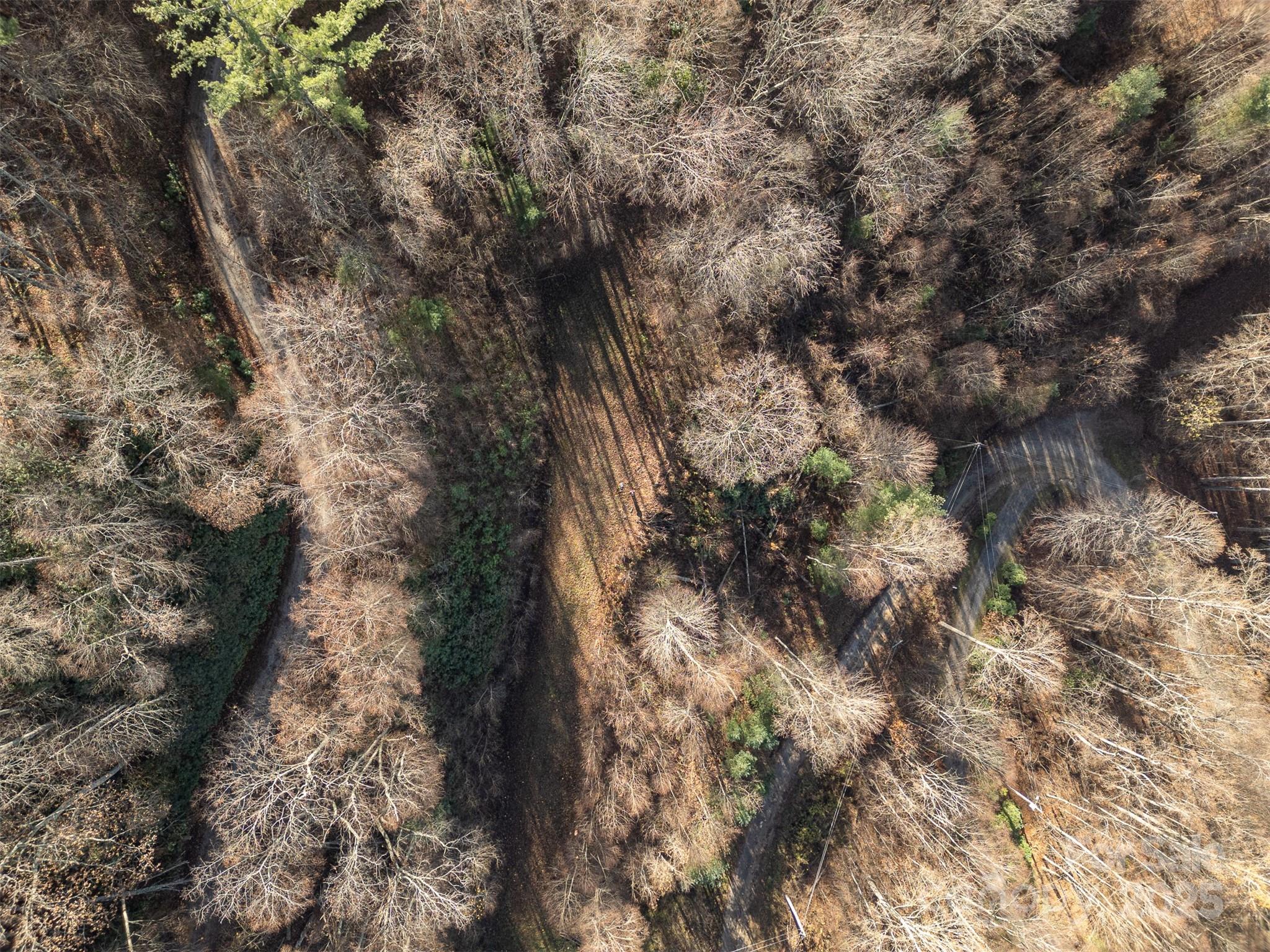 Additional aerial view - 0000 Hyacinth Drive, Clyde