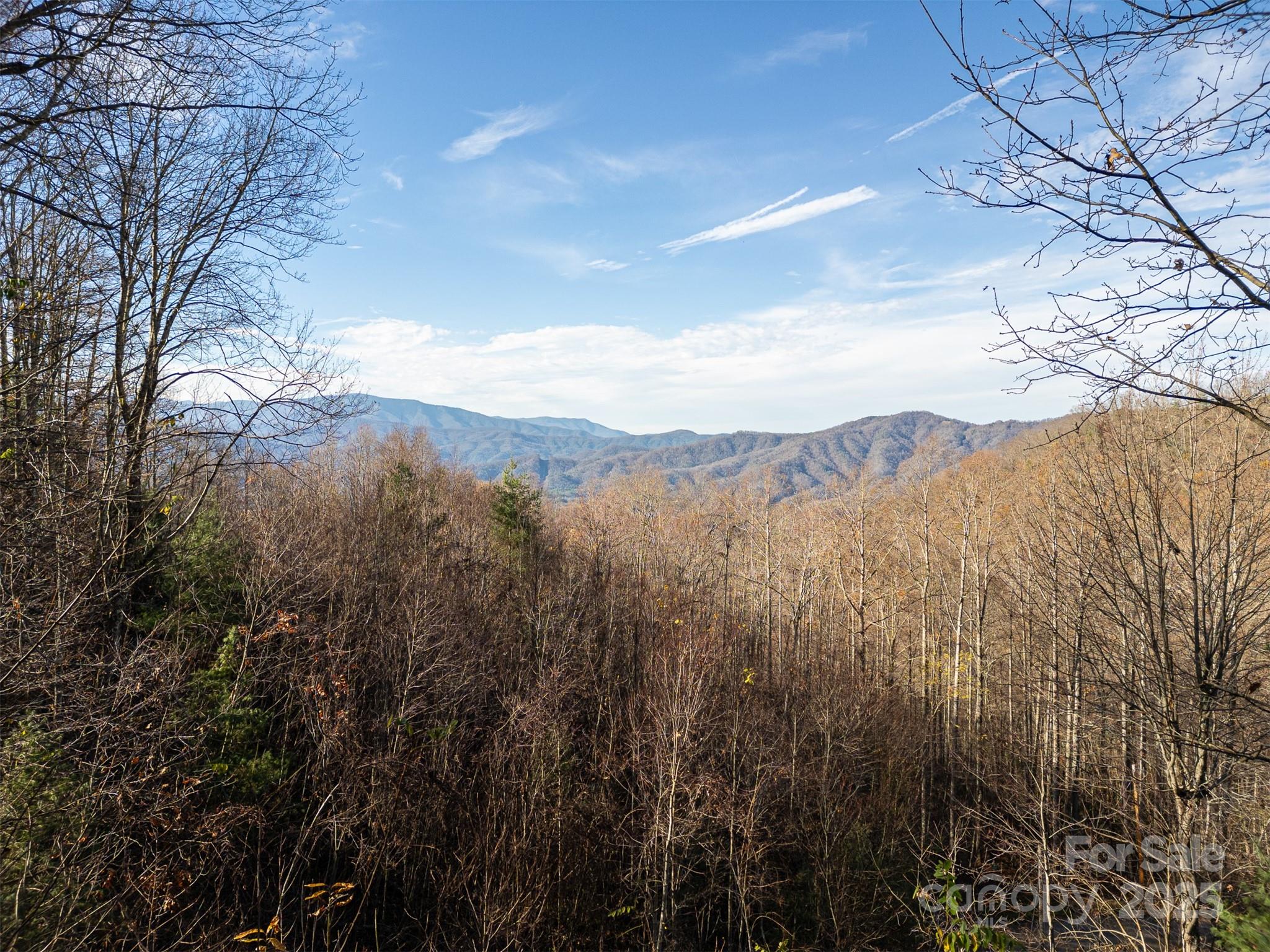 Amazing views of mountain peaks! - 0000 Hyacinth Drive, Clyde