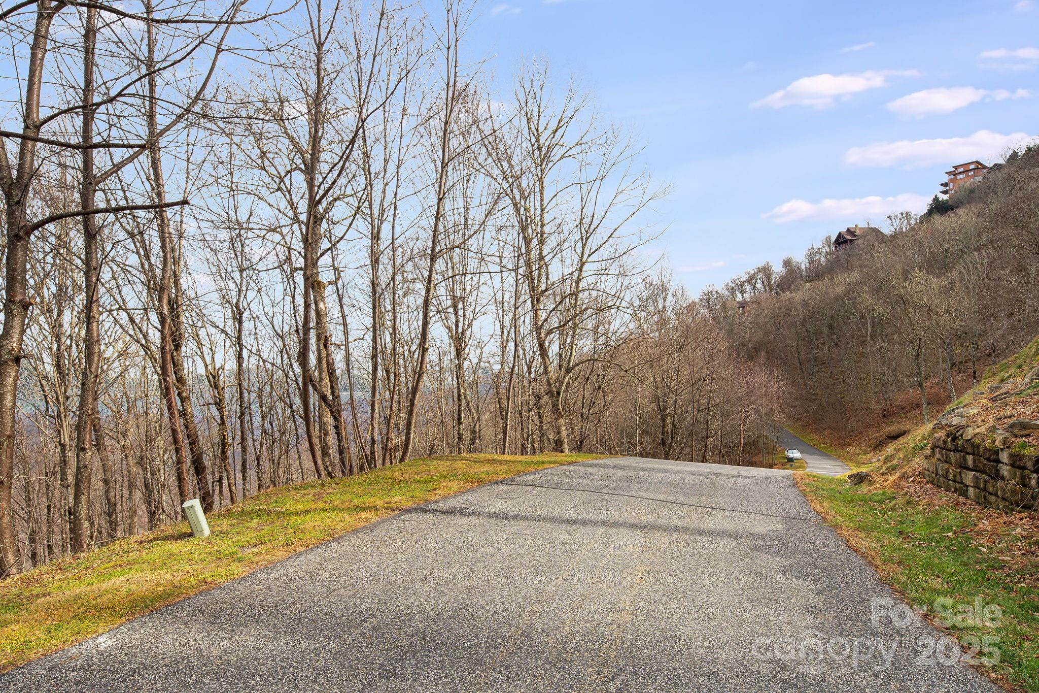 Lot at 59/61 Running Cedar Drive, Mars Hill, photo 2 of 11