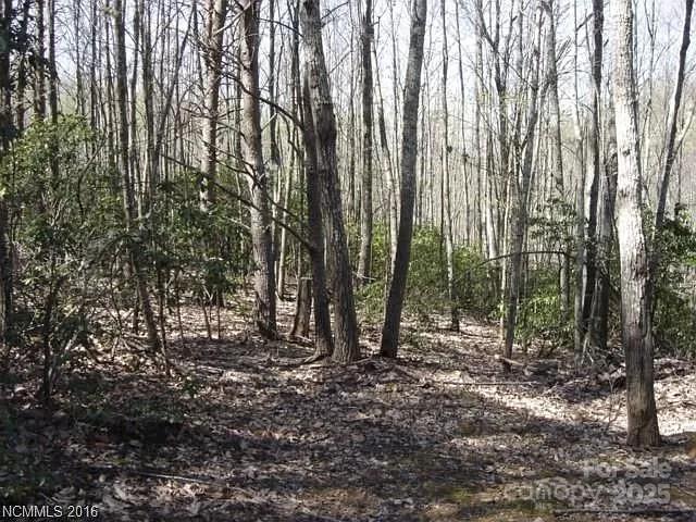 Lot at 91 Old Forge Drive, Bostic, photo 2 of 16