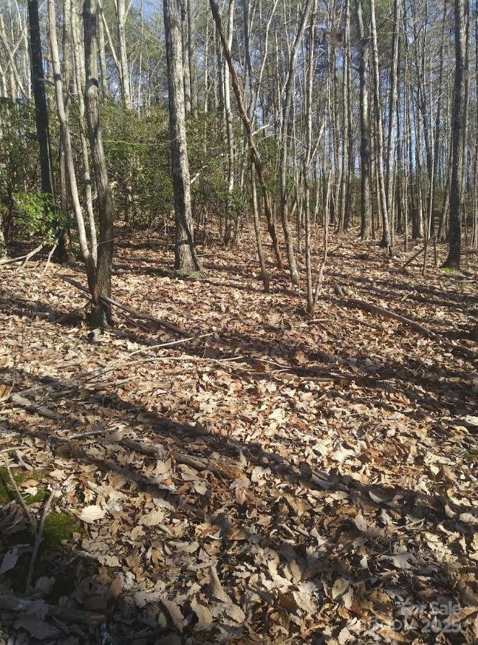 Lot at 91 Old Forge Drive, Bostic, photo 12 of 16