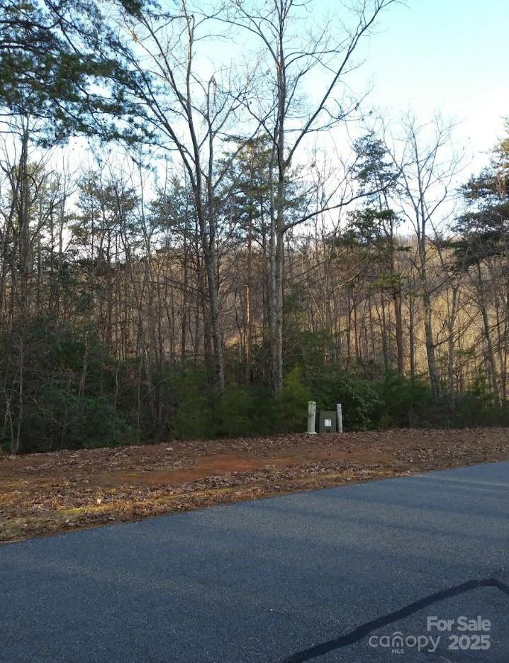 Lot at 91 Old Forge Drive, Bostic, photo 14 of 16