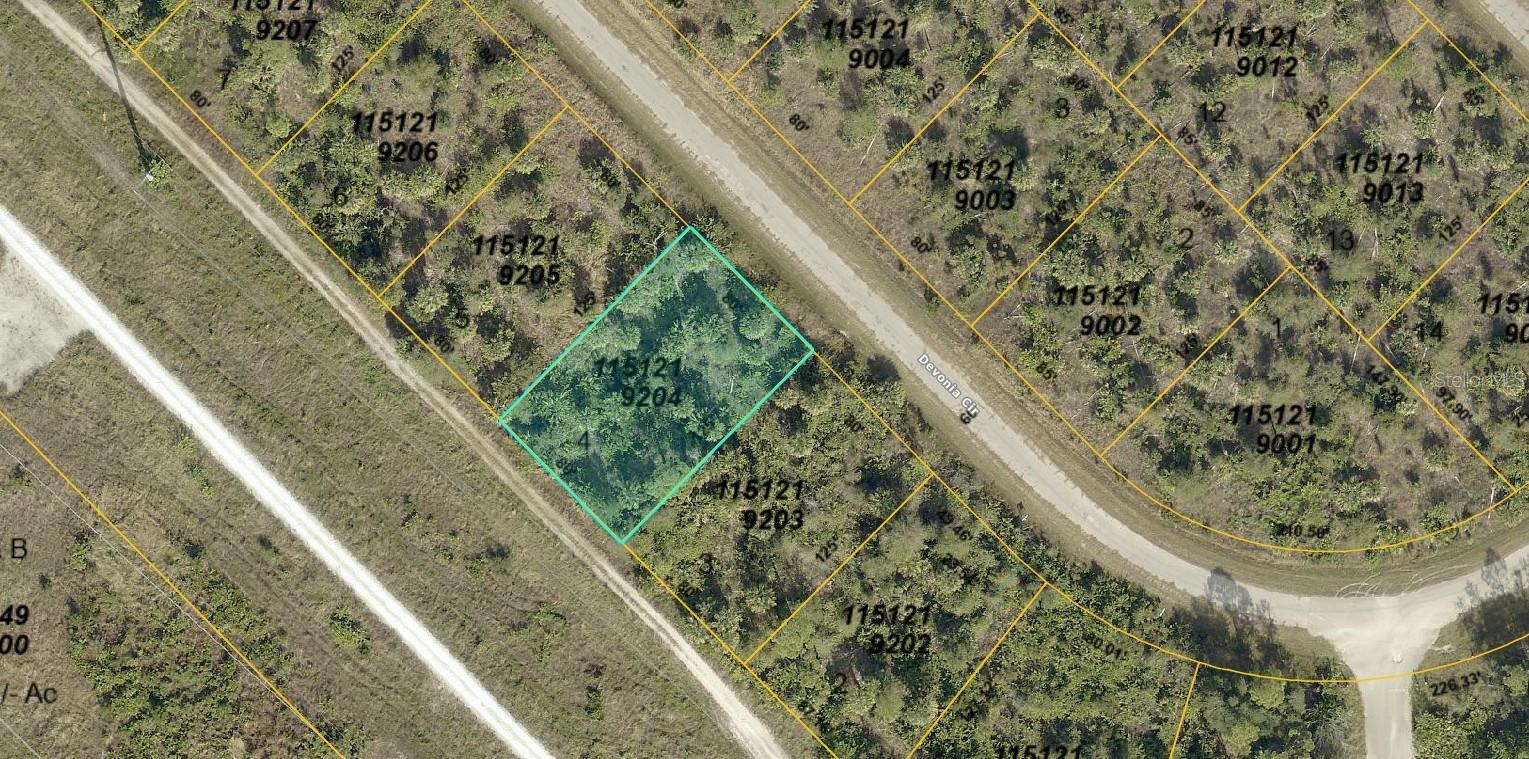 1151219204 DEVONIA CIR