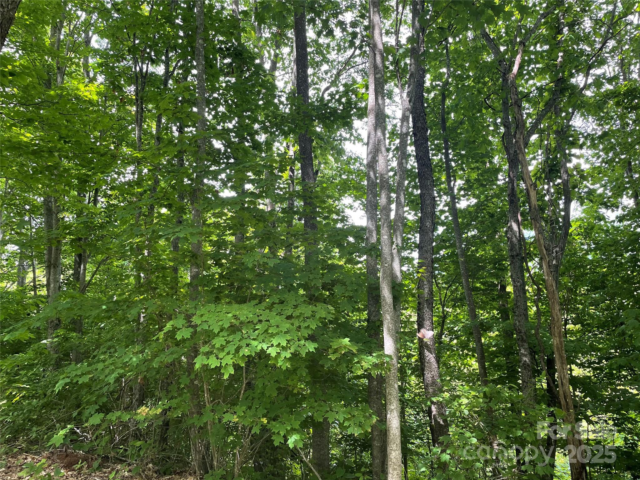 Lot at 223 Flying Dutchman Road, Sylva, photo 11 of 11