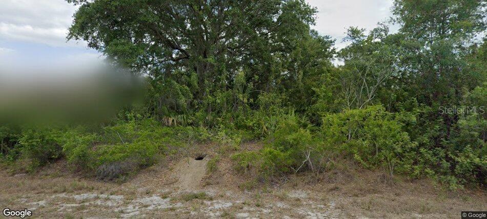 Land at 3316 LIBERTY ST, PORT CHARLOTTE, photo 2 of 2