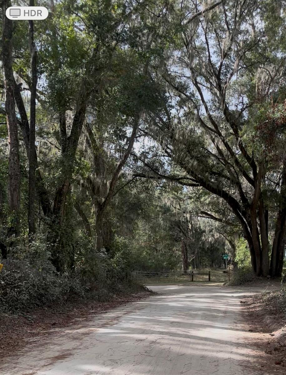 Land at SW 194 ST, ARCHER,FL 32618 - O4462-011-000, photo 2 of 4