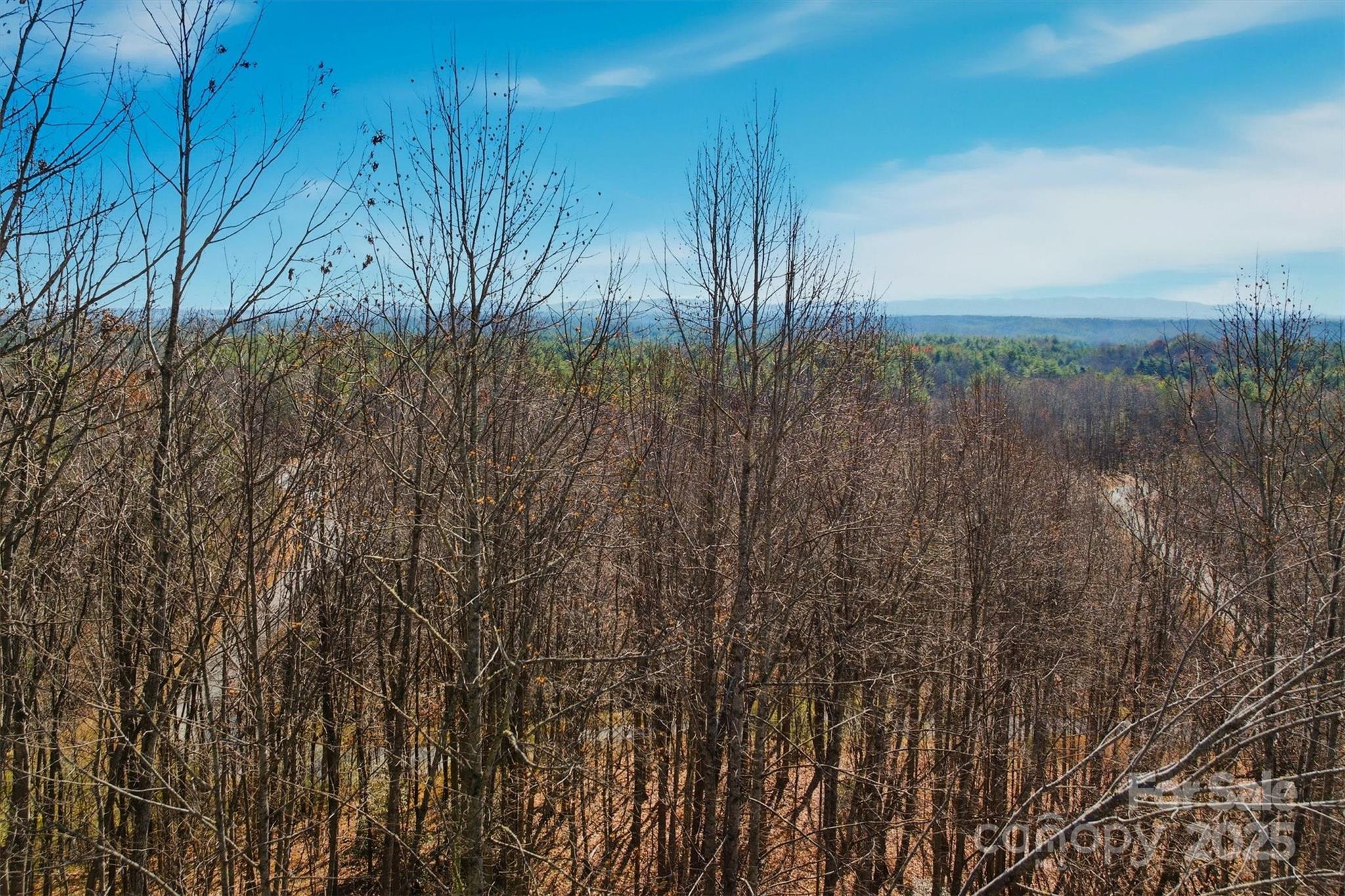 Acreage at 1038 Round Rock Road, Lenoir, photo 3 of 46