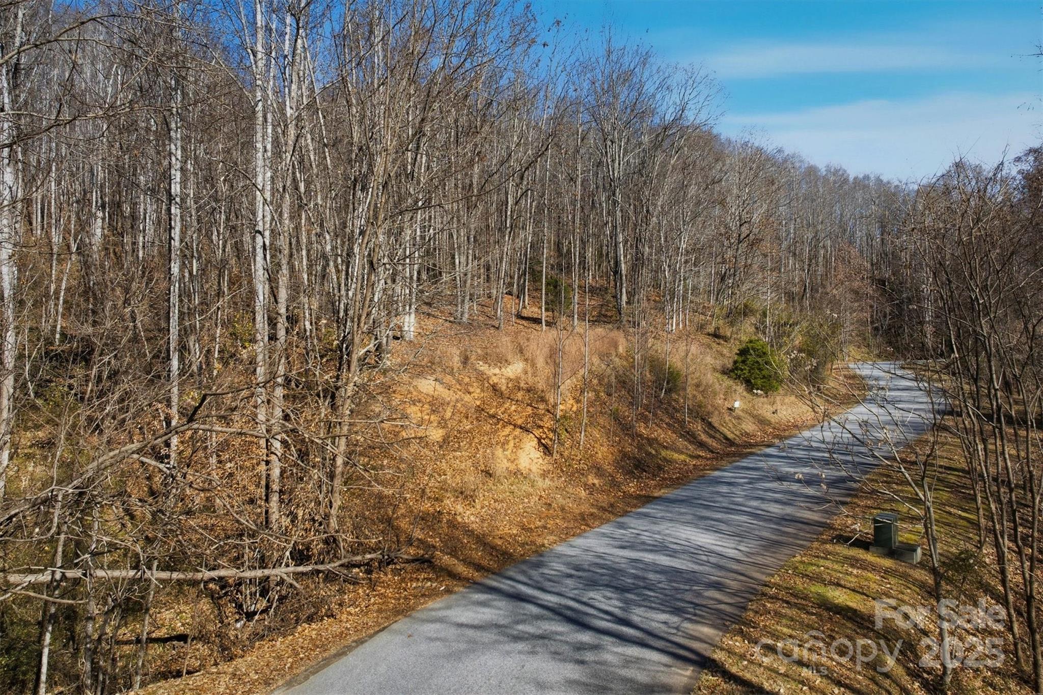 Acreage at 1038 Round Rock Road, Lenoir, photo 10 of 46