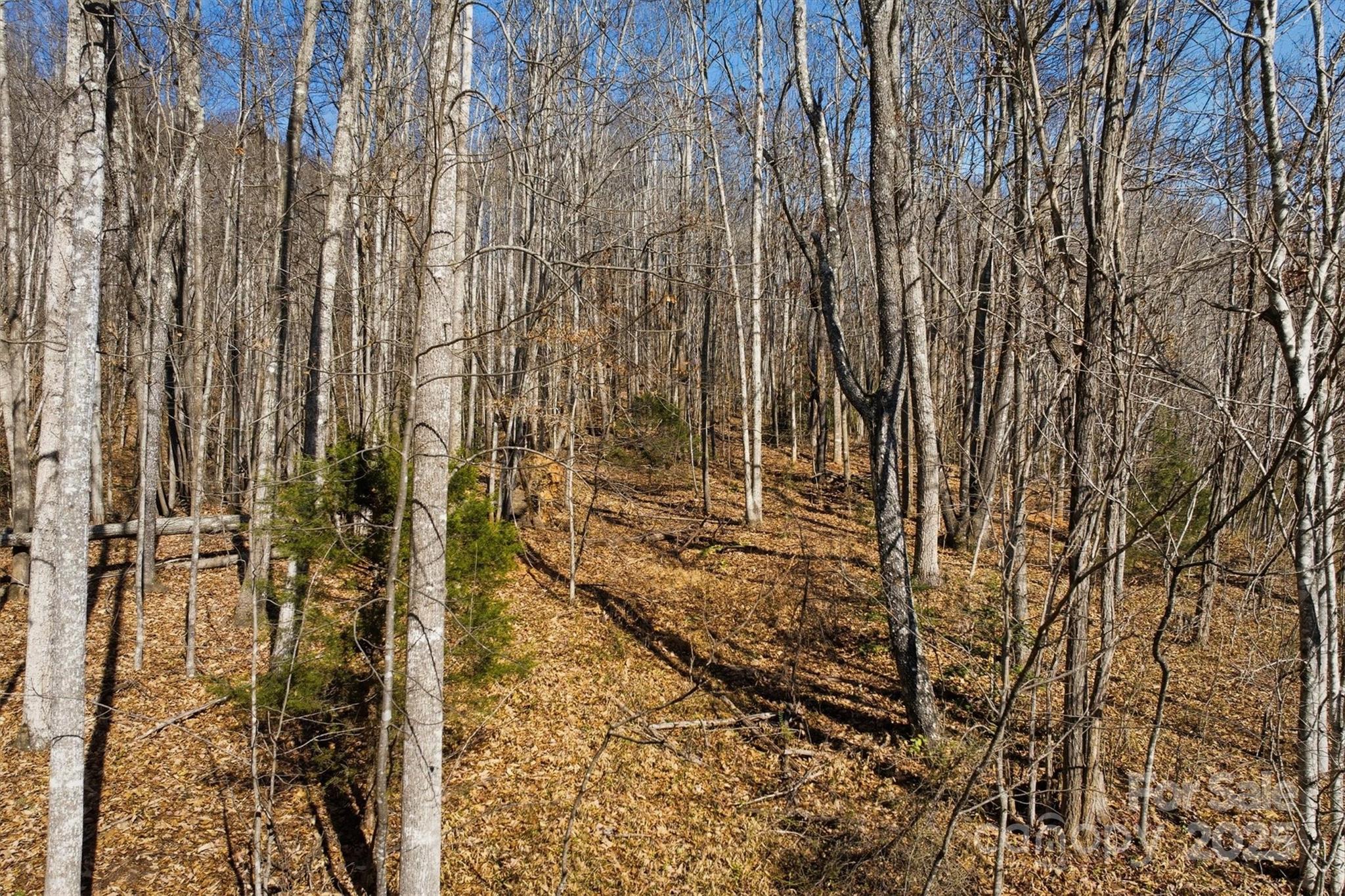 Acreage at 1038 Round Rock Road, Lenoir, photo 12 of 46