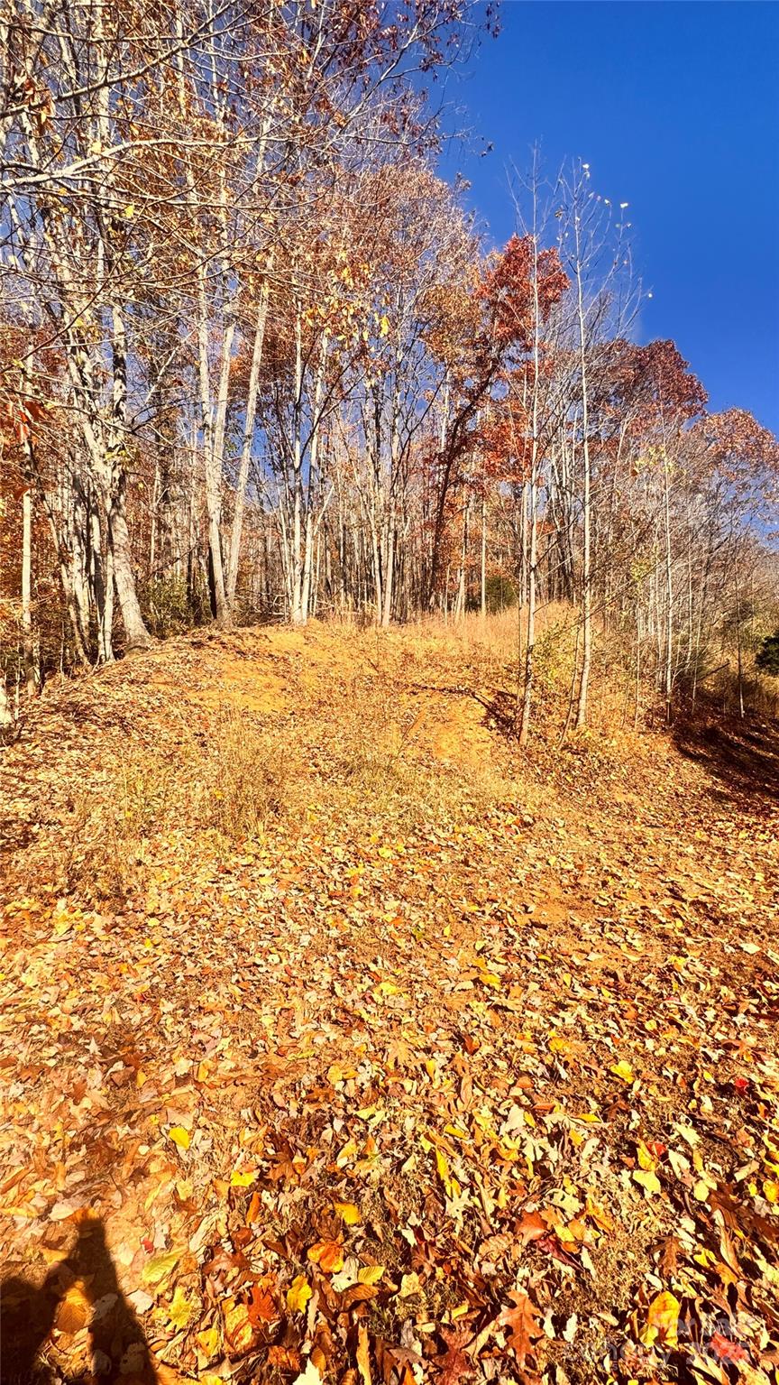 Acreage at 1038 Round Rock Road, Lenoir, photo 14 of 46