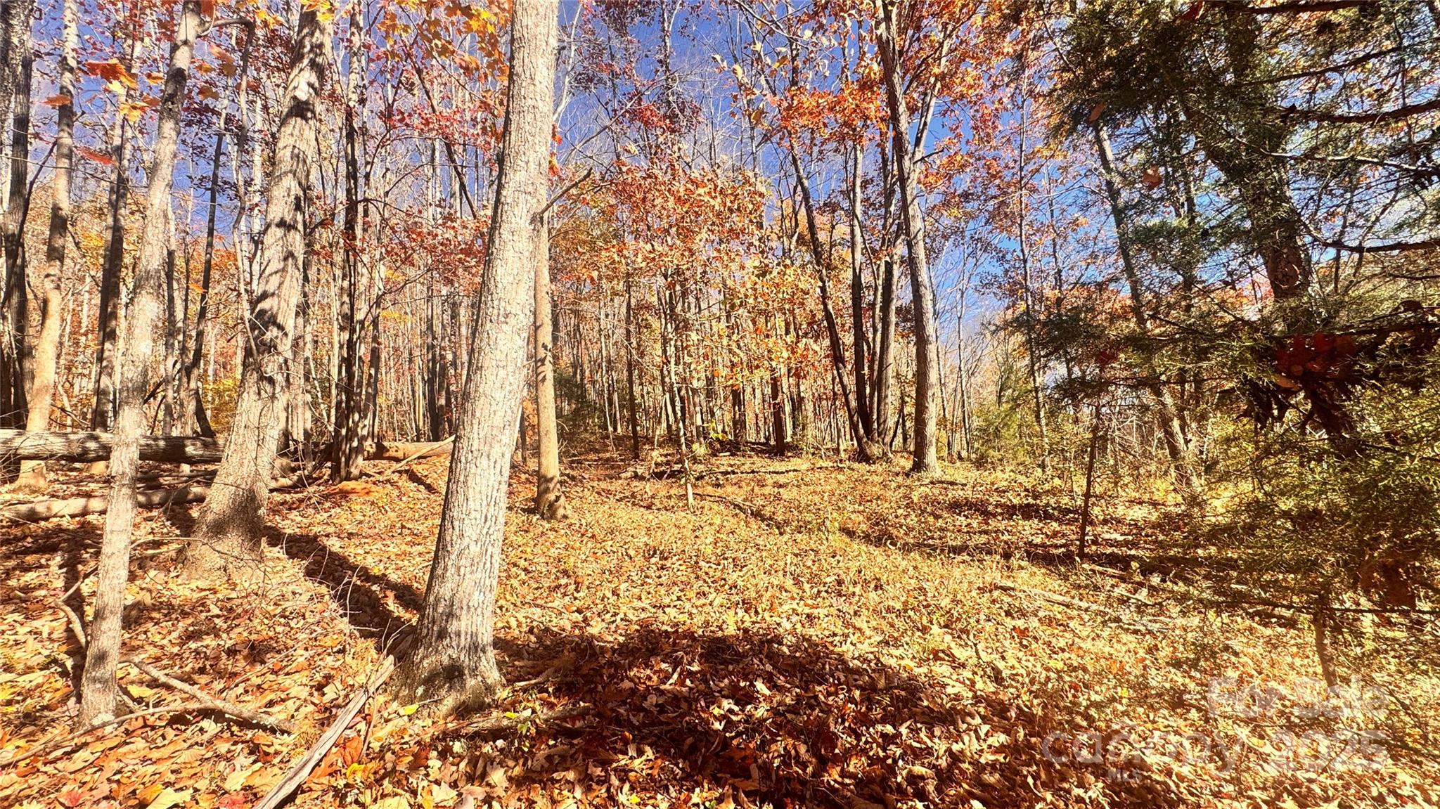 Acreage at 1038 Round Rock Road, Lenoir, photo 15 of 46