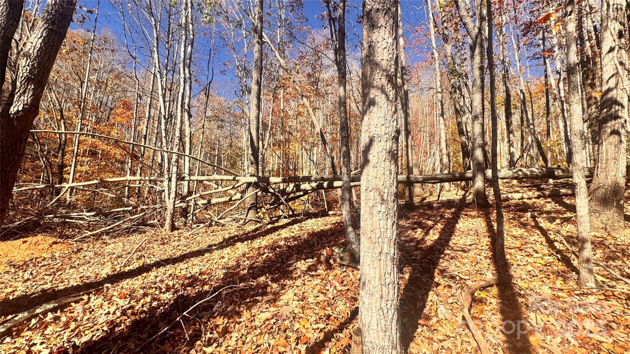 Acreage at 1038 Round Rock Road, Lenoir, photo 16 of 46