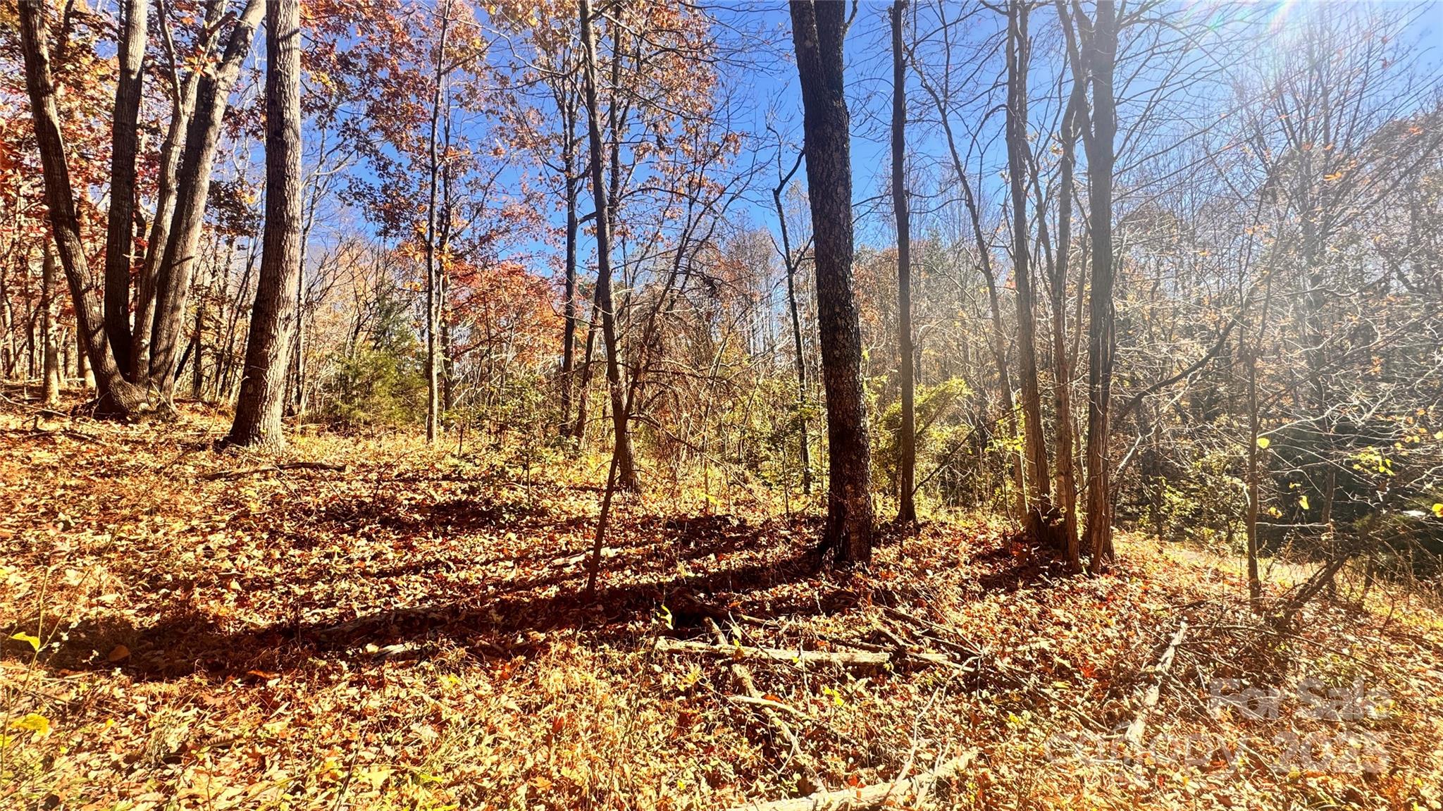 Acreage at 1038 Round Rock Road, Lenoir, photo 17 of 46