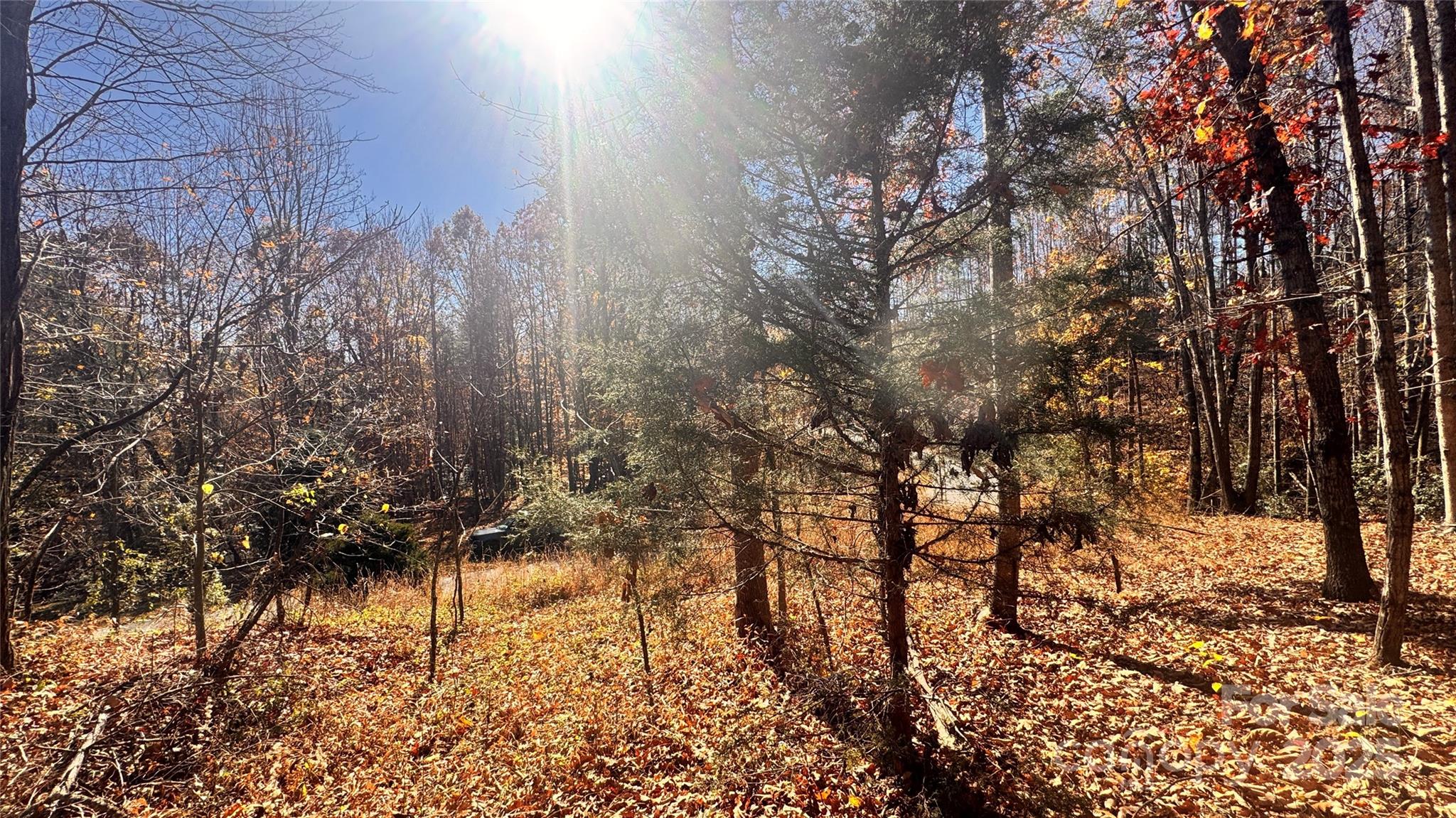 Acreage at 1038 Round Rock Road, Lenoir, photo 18 of 46