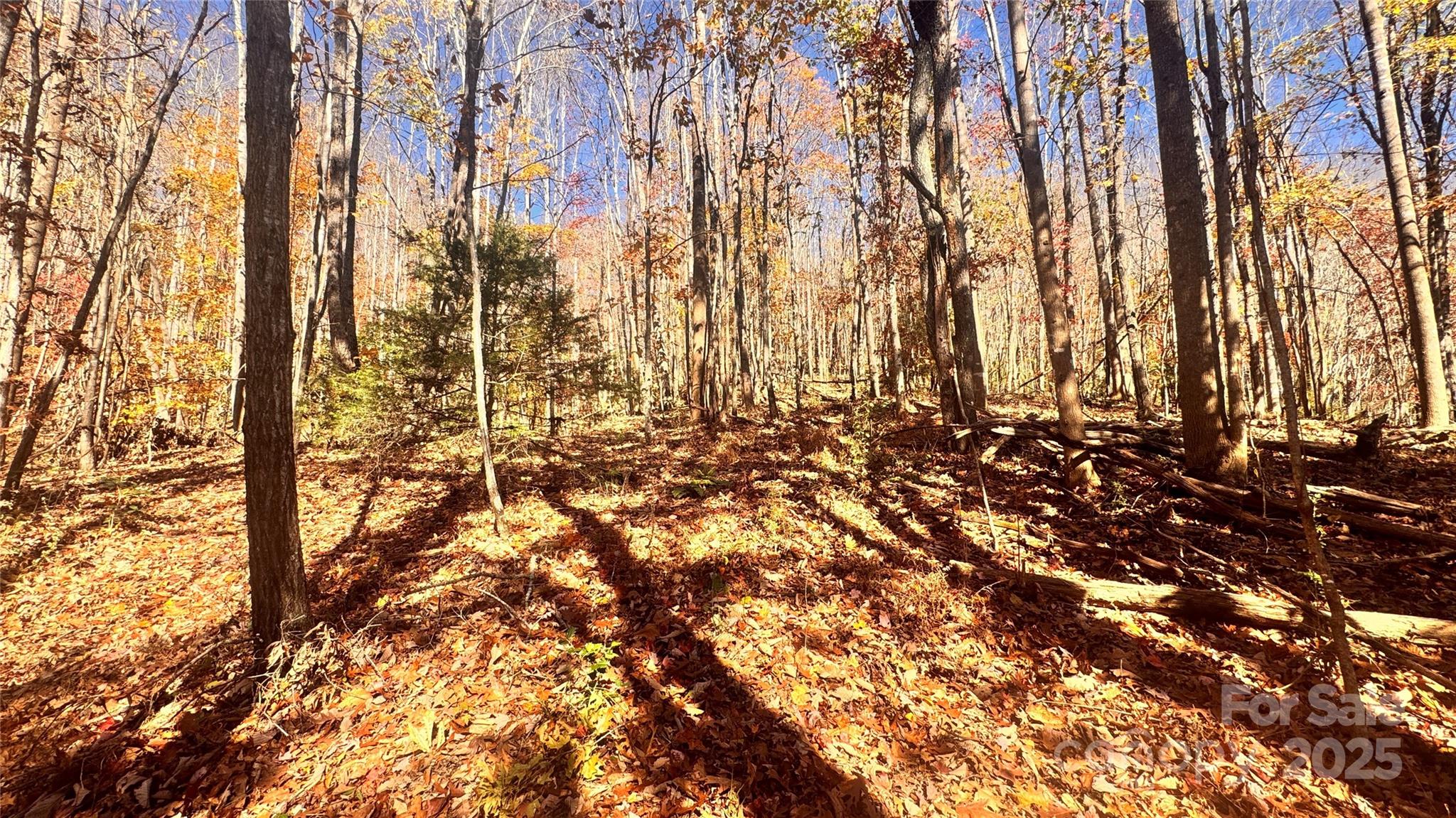 Acreage at 1038 Round Rock Road, Lenoir, photo 19 of 46