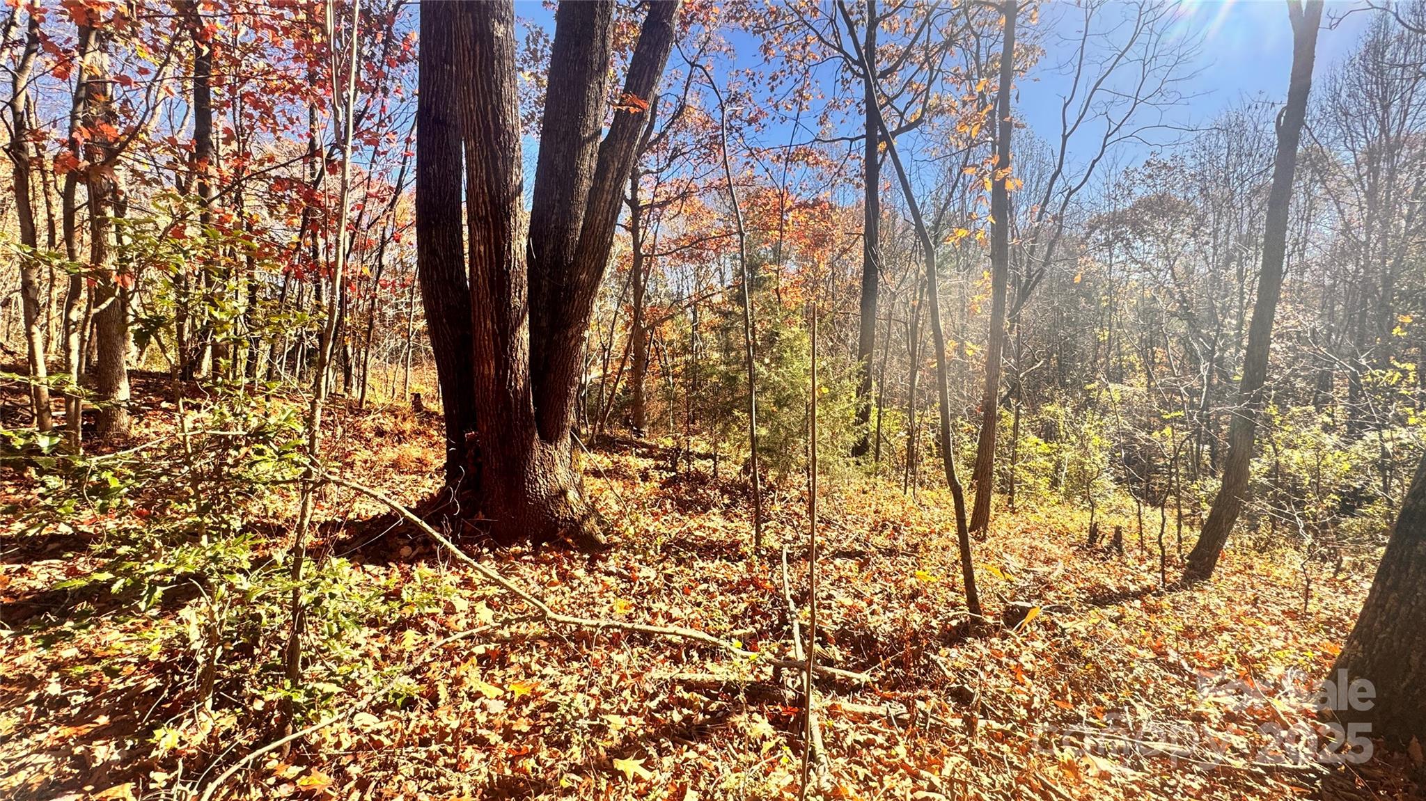 Acreage at 1038 Round Rock Road, Lenoir, photo 23 of 46