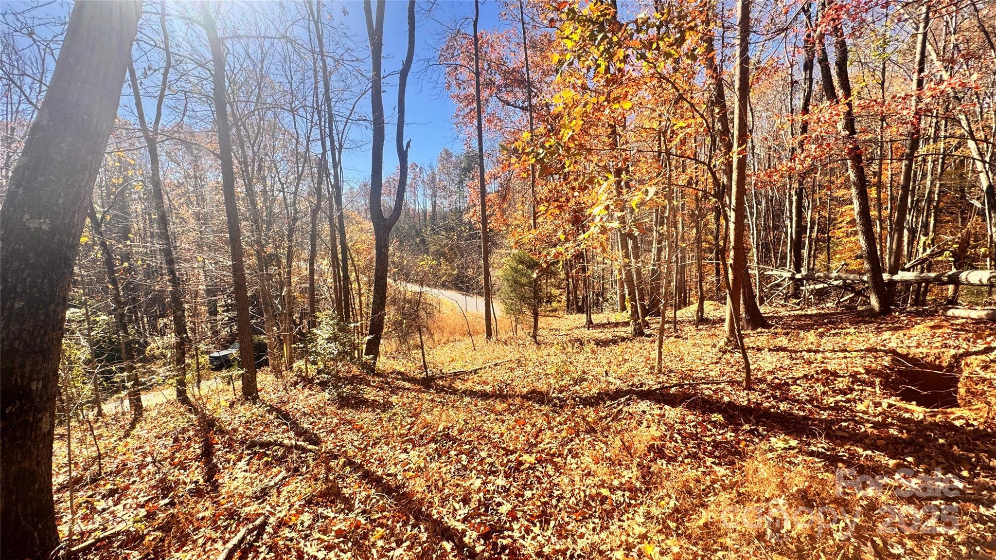 Acreage at 1038 Round Rock Road, Lenoir, photo 24 of 46