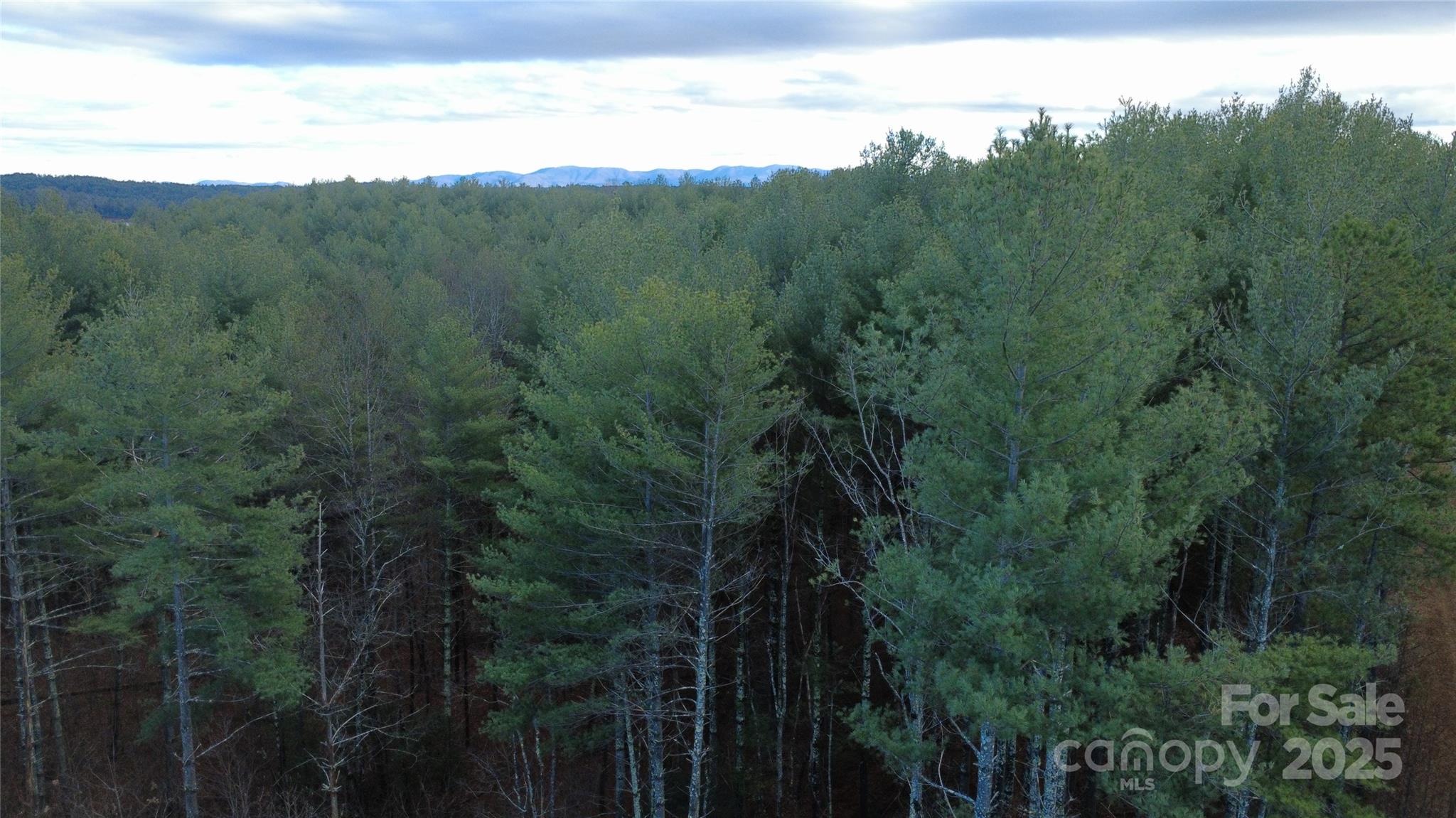 Lot at 597 Peninsula Reserve Road, Nebo, photo 7 of 24