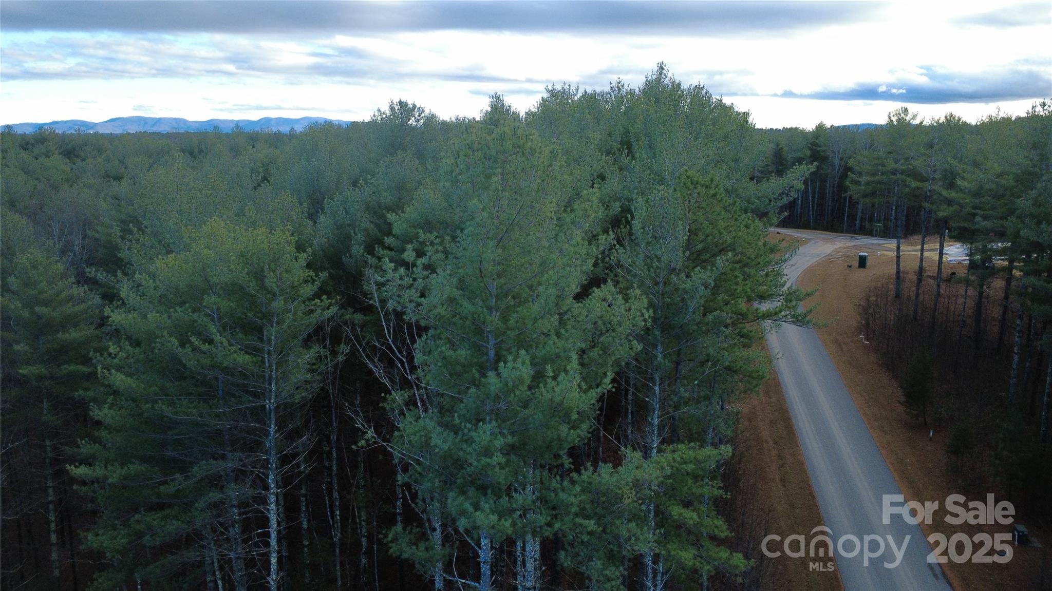 Lot at 597 Peninsula Reserve Road, Nebo, photo 8 of 24