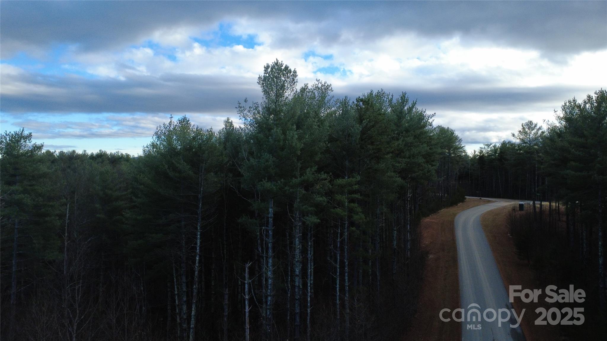 Lot at 597 Peninsula Reserve Road, Nebo, photo 10 of 24