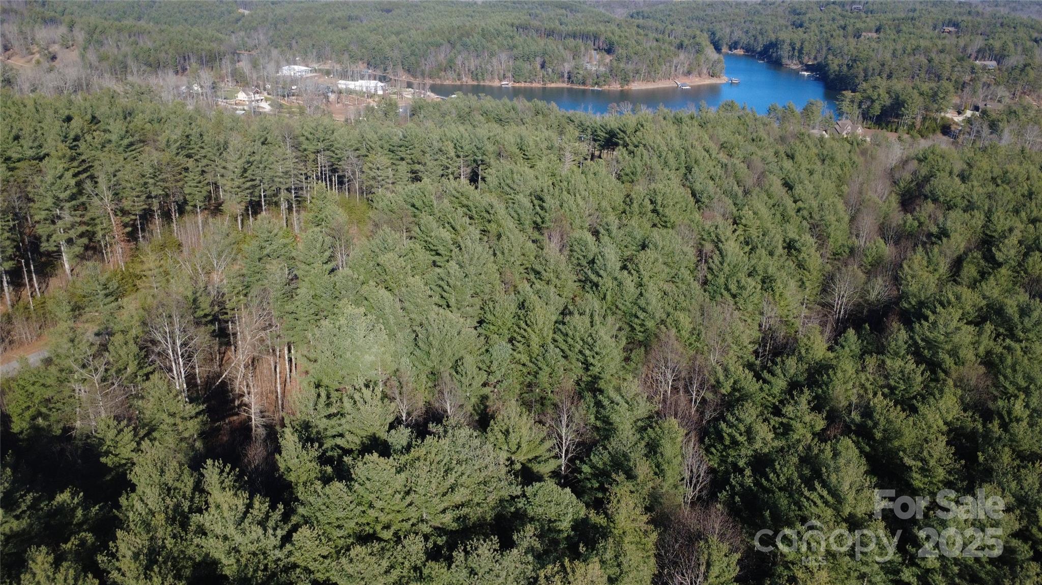 Lot at 597 Peninsula Reserve Road, Nebo, photo 12 of 24
