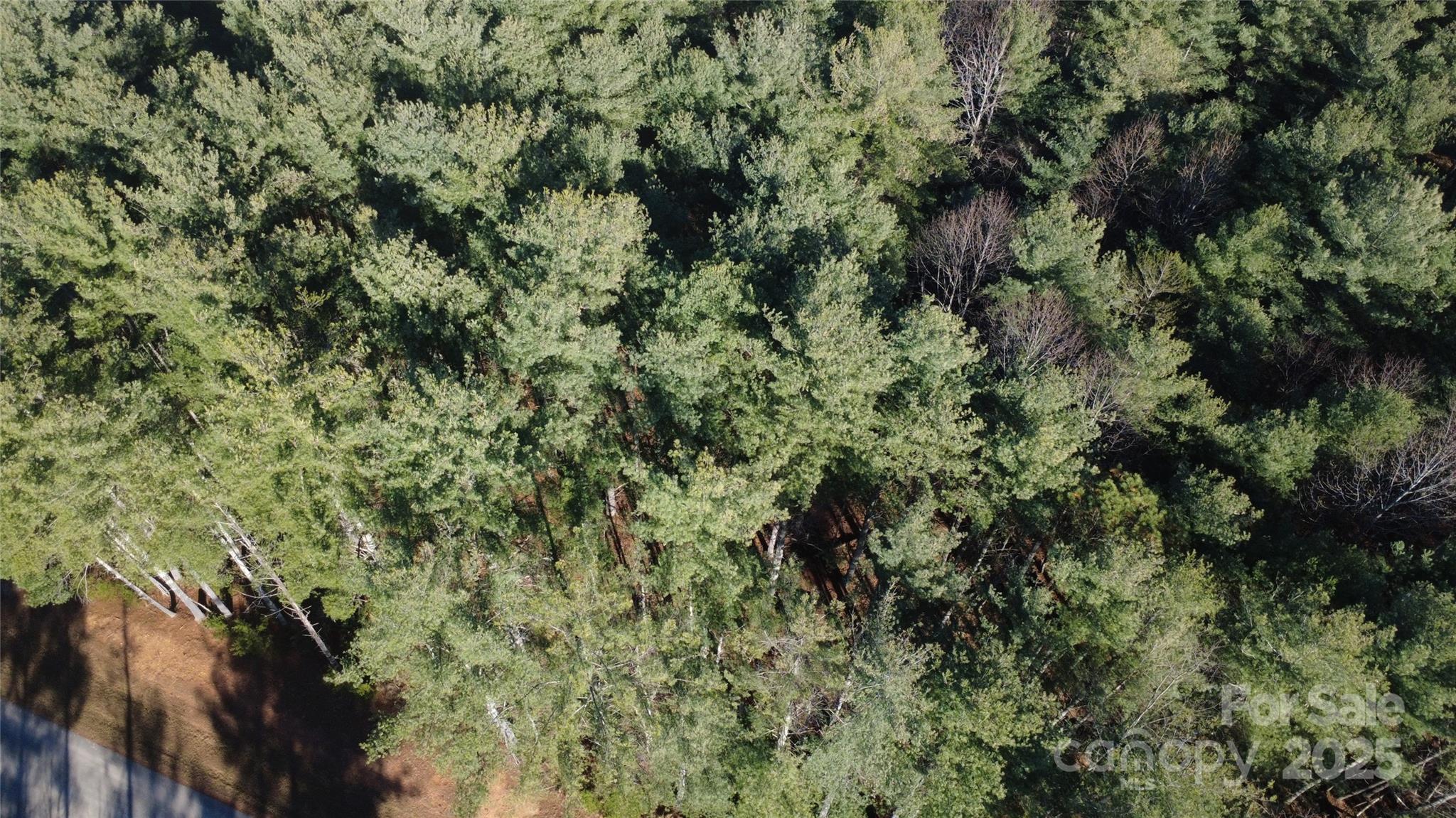 Lot at 597 Peninsula Reserve Road, Nebo, photo 16 of 24