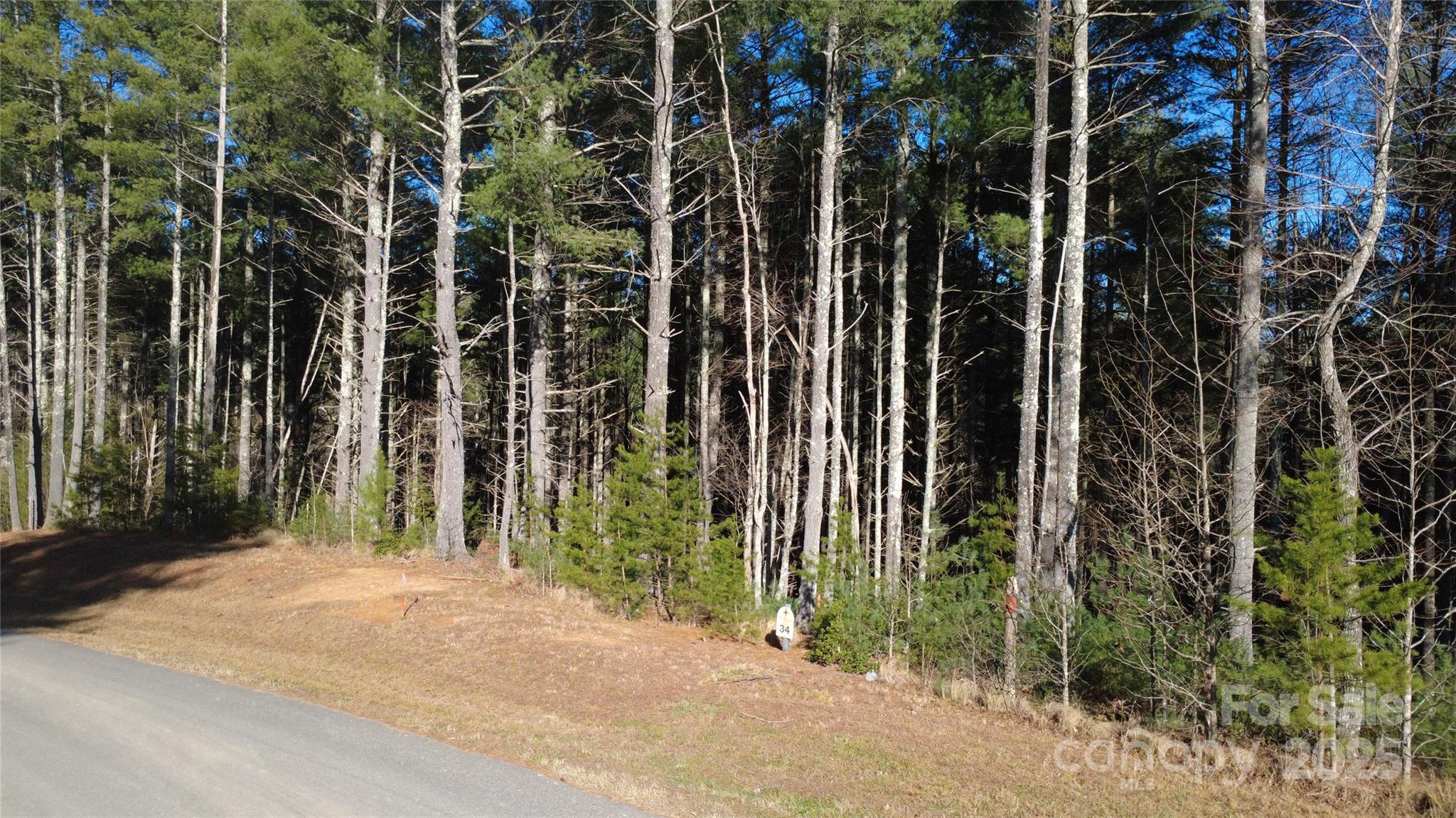 Lot at 597 Peninsula Reserve Road, Nebo, photo 19 of 24